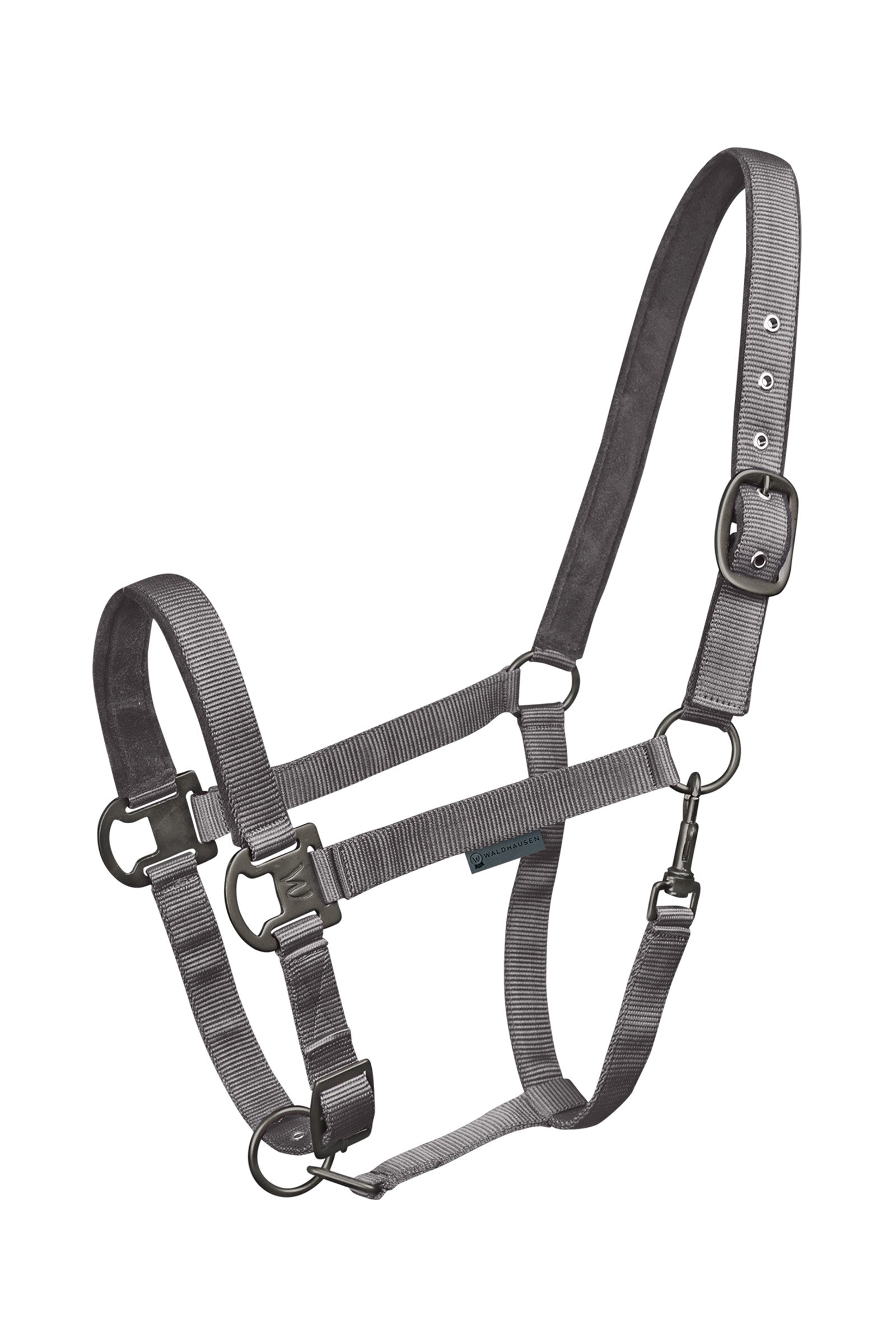 Waldhausen Gloomy Halter Halters & Leads
