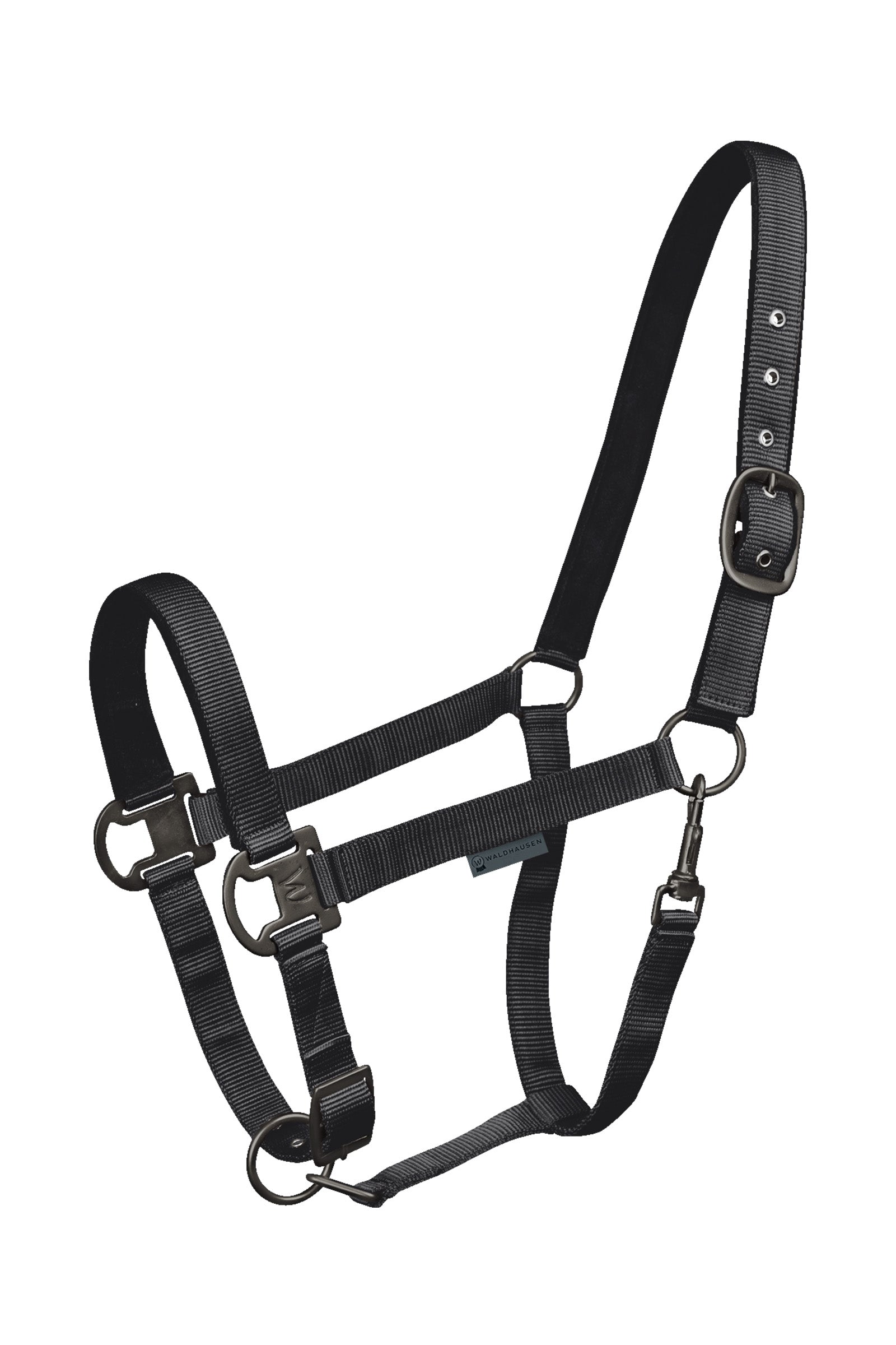Waldhausen Gloomy Halter Halters & Leads
