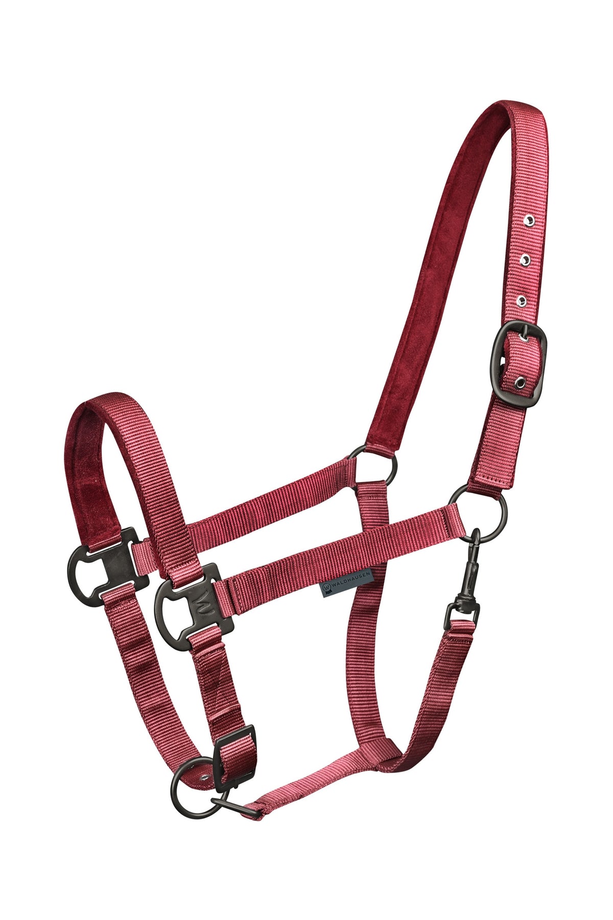 Waldhausen Gloomy Halter Halters & Leads