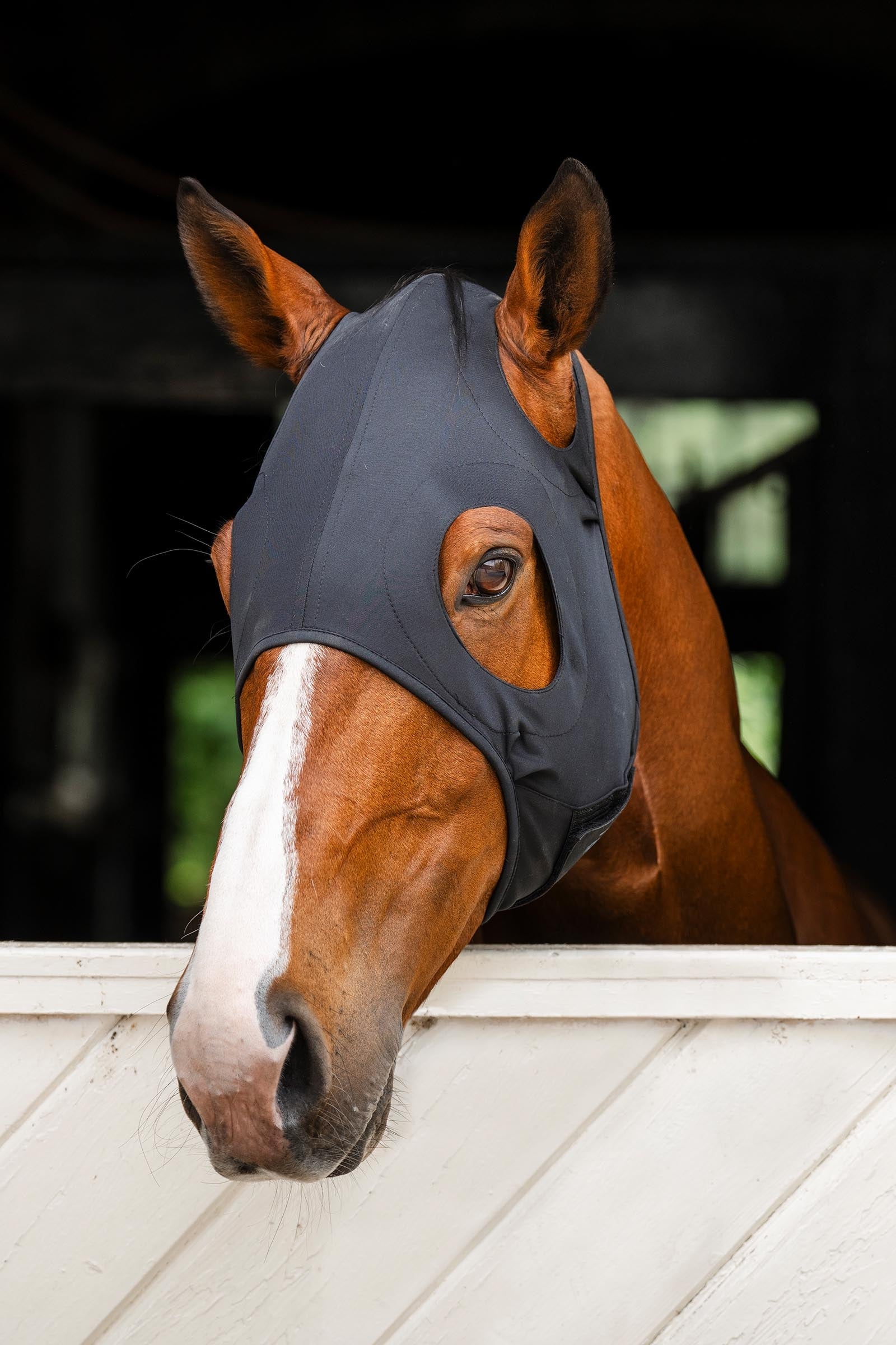 Horseware Ionic Calming Face Mask Antifly Protection for Horses