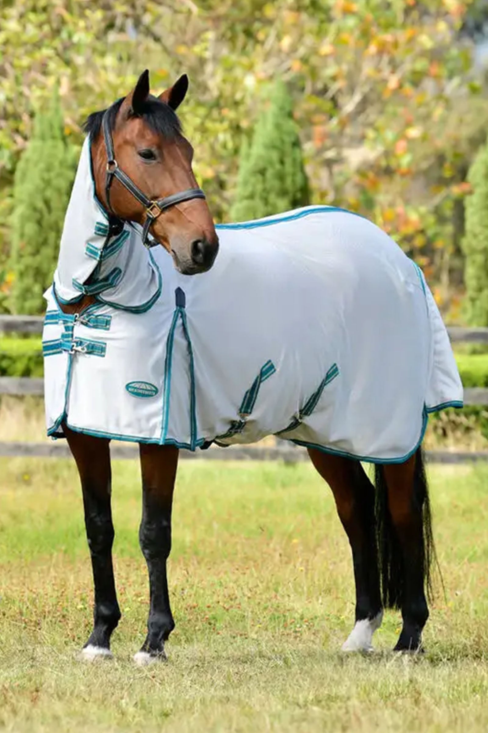 Weatherbeeta Comfitec Zephyr Plus Mesh Combo Neck Horse Rugs