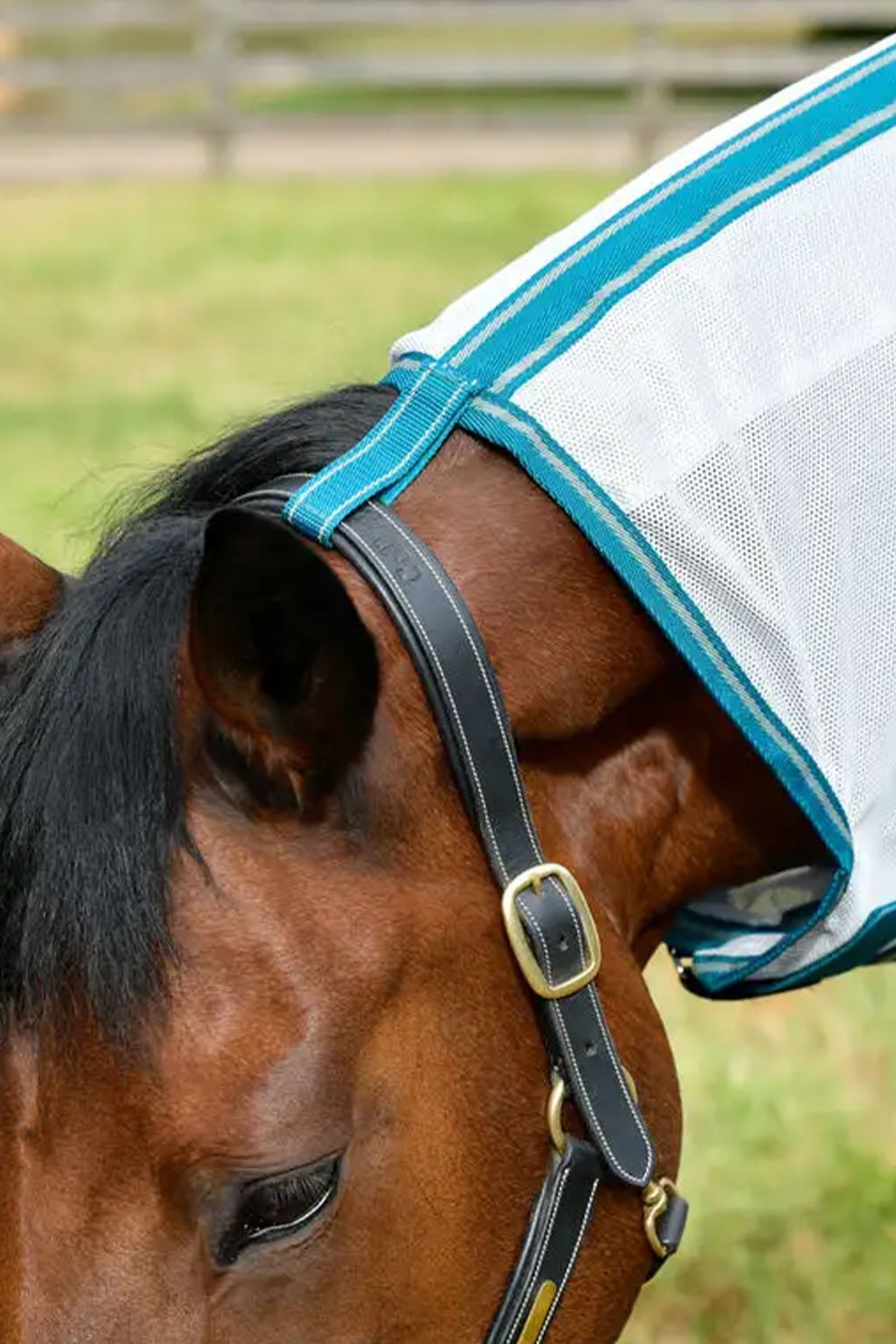 Weatherbeeta Comfitec Zephyr Plus Mesh Combo Neck Horse Rugs