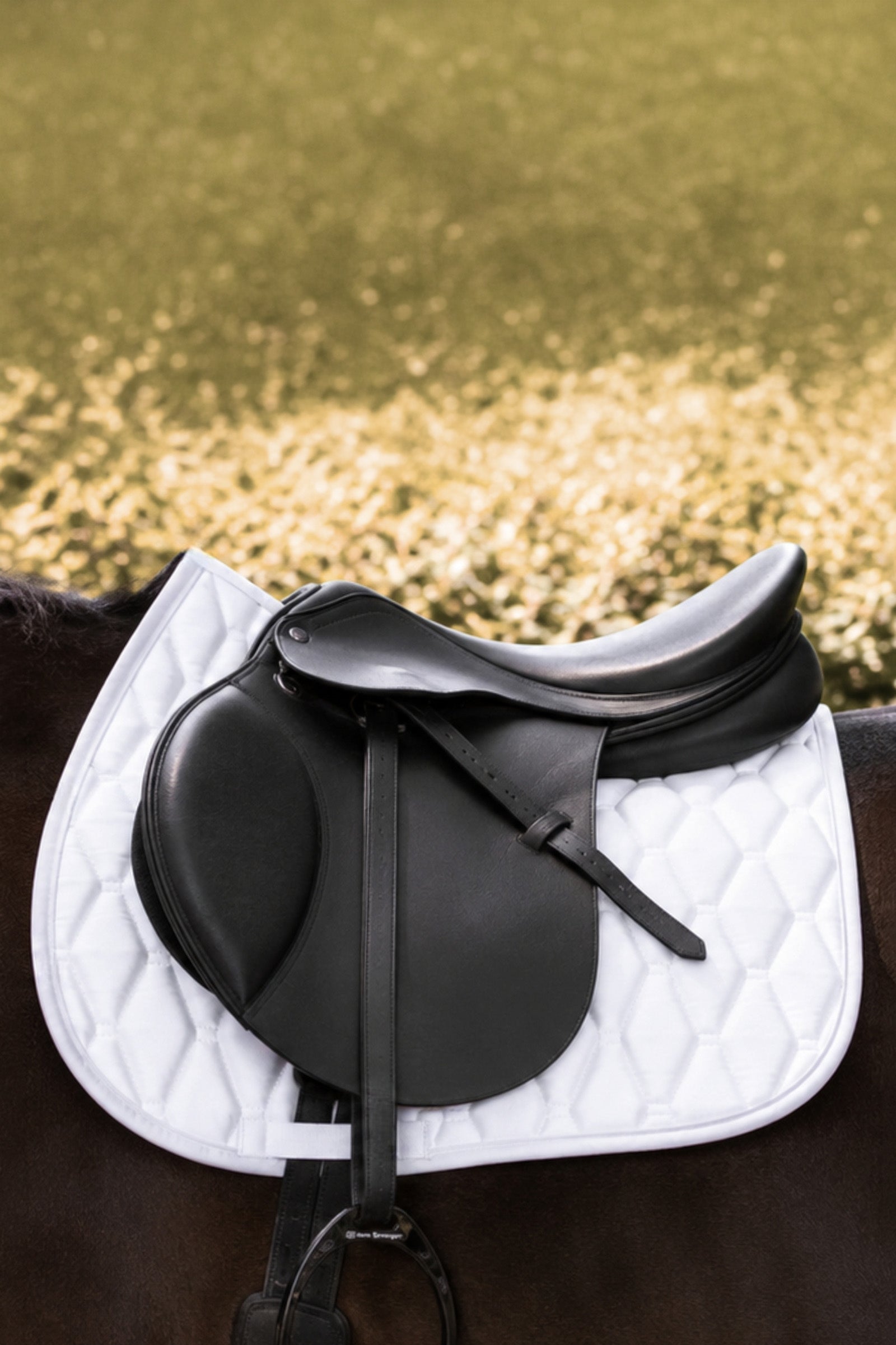 Kavalkade Graceful All Purpose Saddlepad Saddle Pads