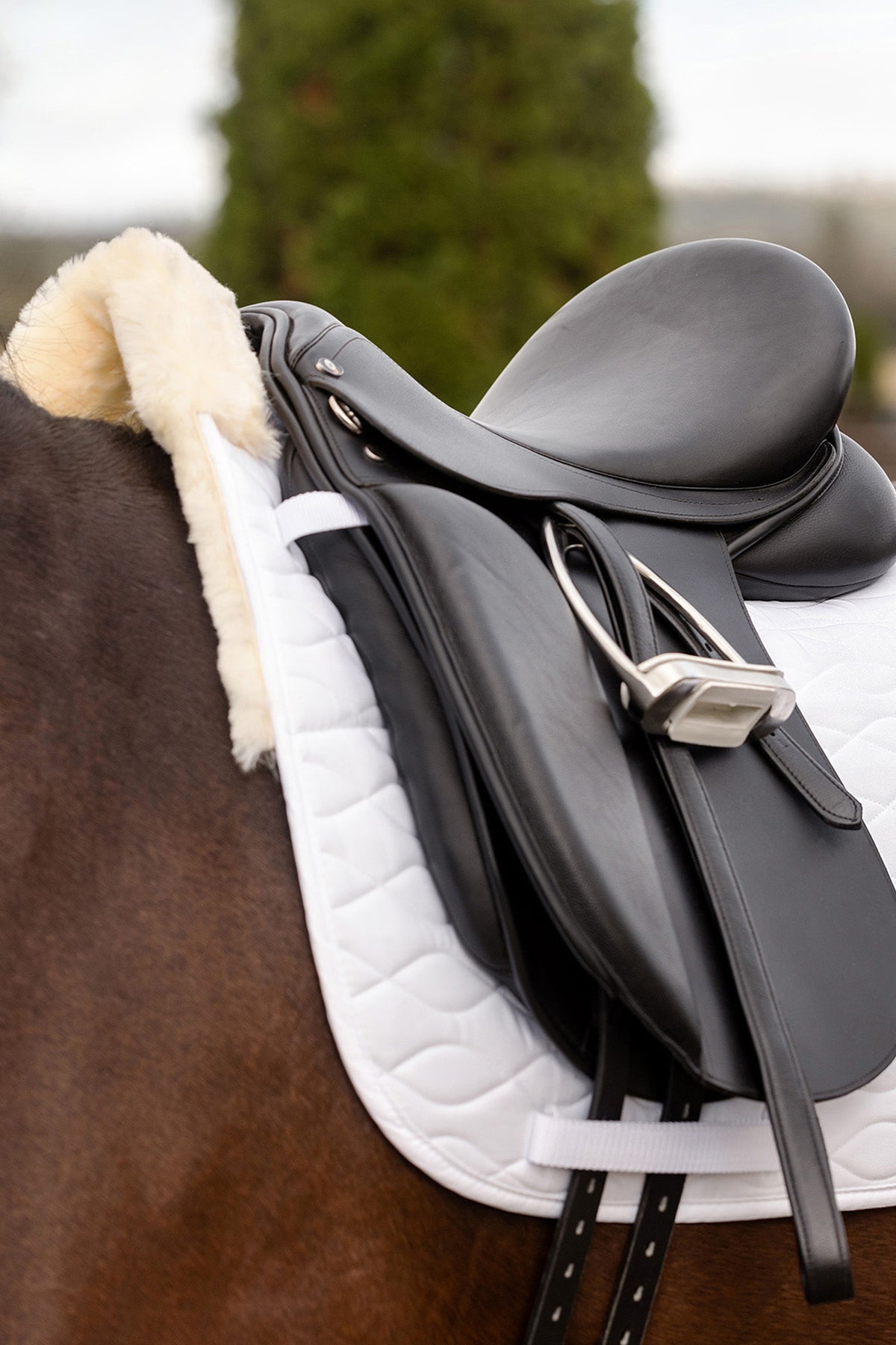 Waldhausen Milan Dressage Saddle Pad With Lambskin Saddle Pads