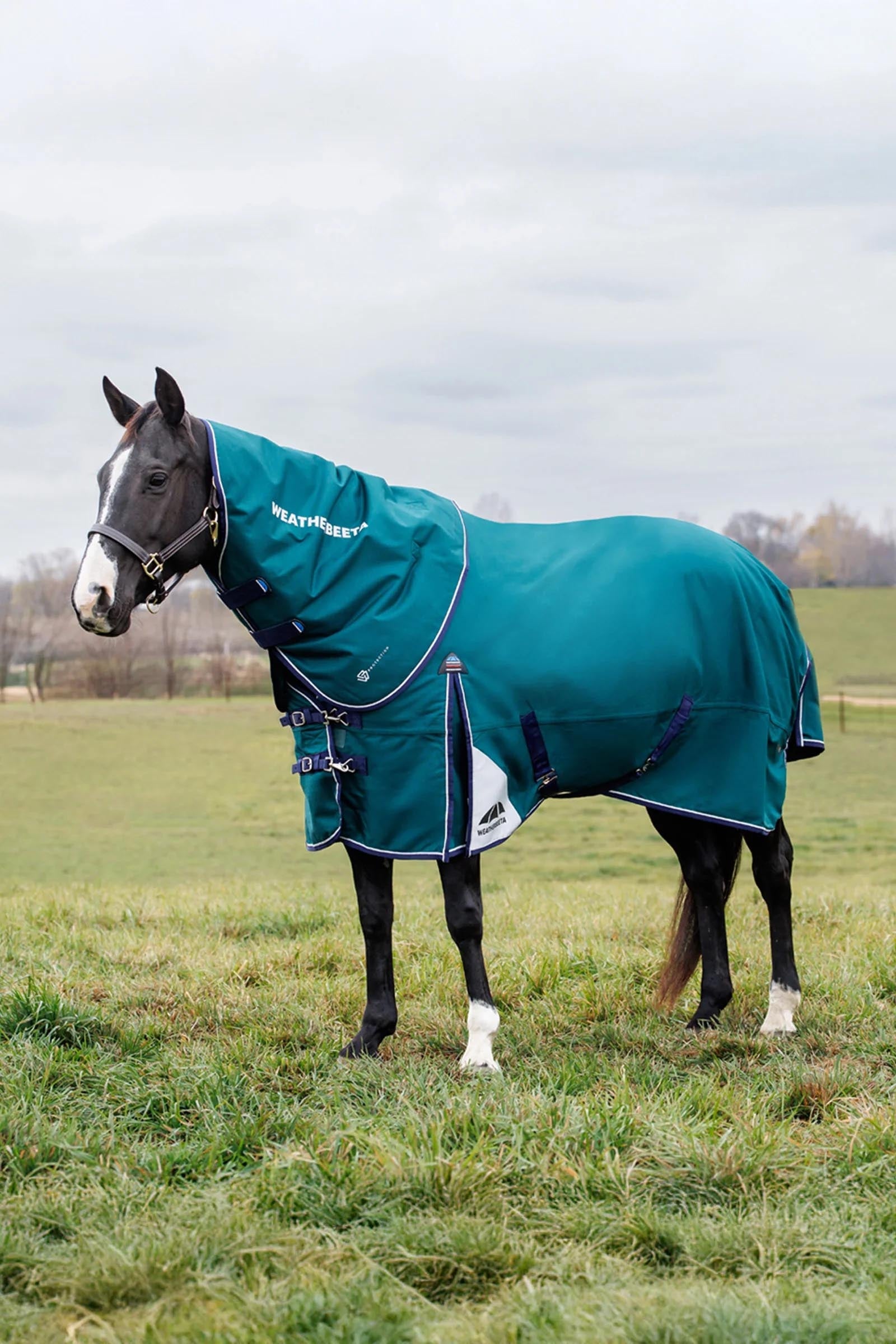 Weatherbeeta ComFiTecPlus Dynamic Turnout Detach-A-Neck 220G Horse Rugs