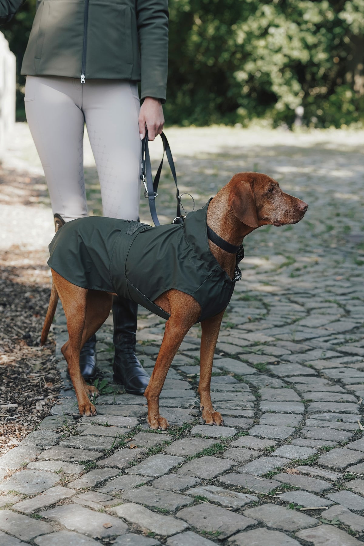 Eskadron Hunter x ESKADRON RAINSHIELD Dog Raincoat Dog Accesories