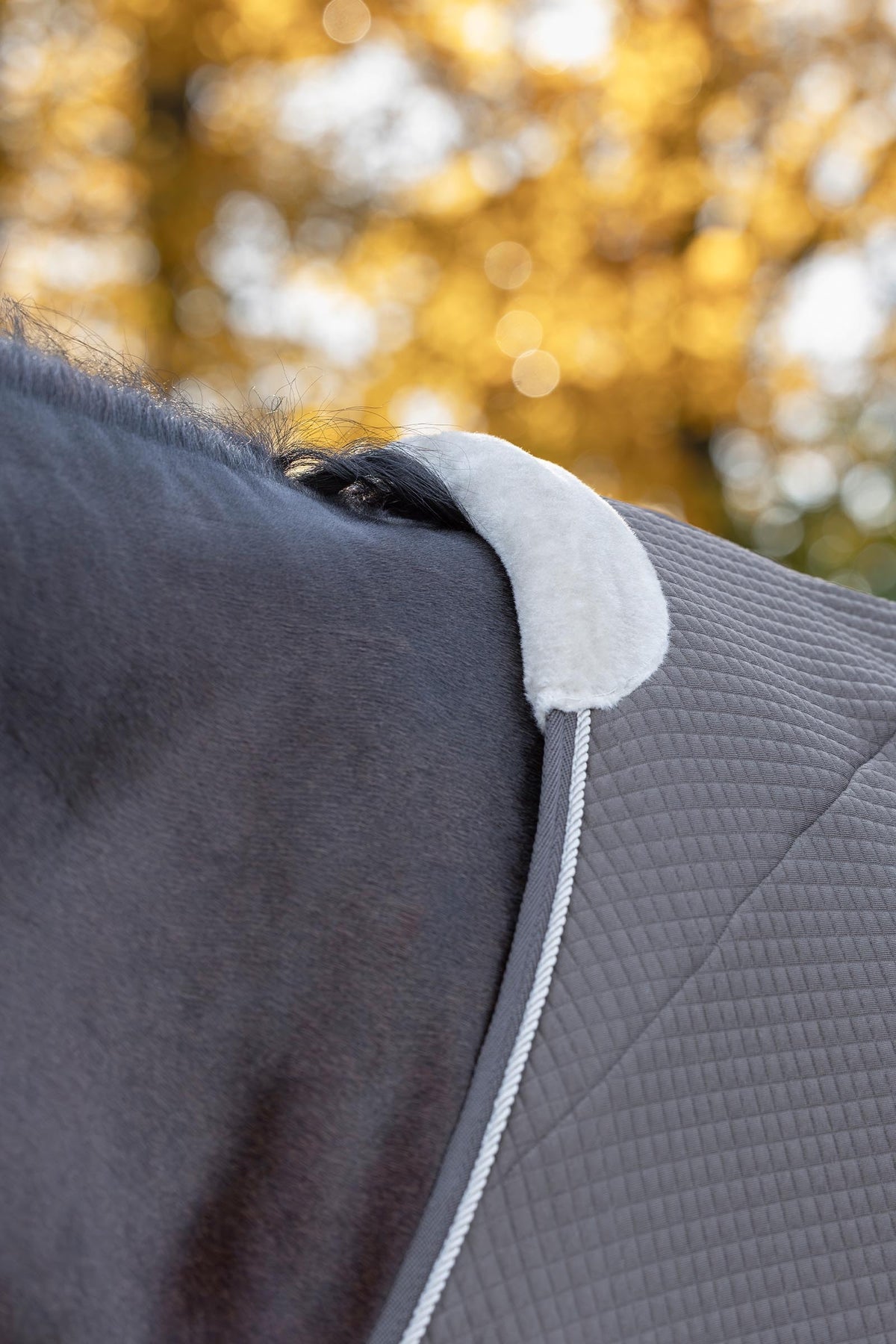 Covalliero FW26 Premium Cooler Rug Horse Rugs