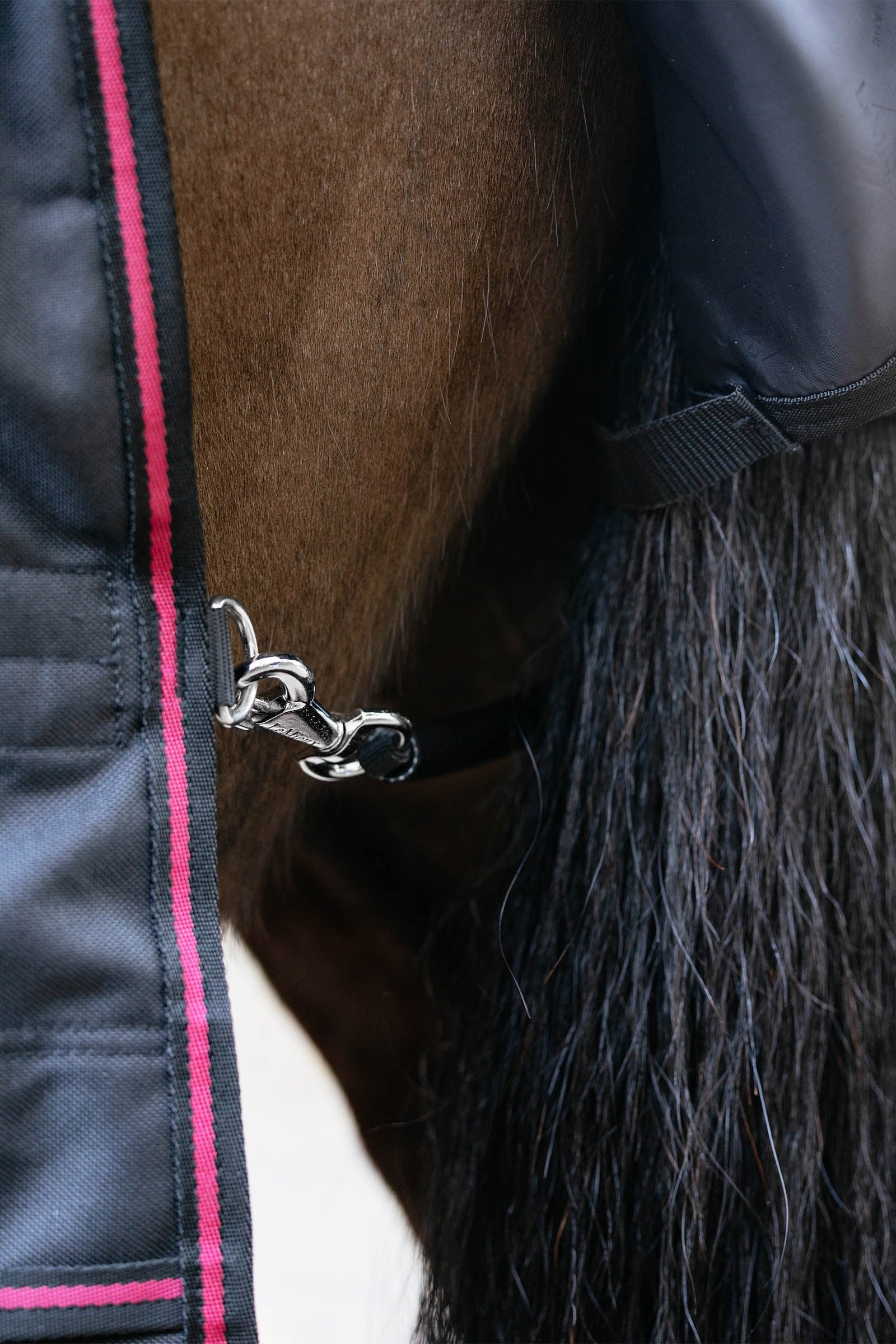 LeMieux Arika Storm-Tek Rug With Detachable Neck, 200 g Horse Rugs