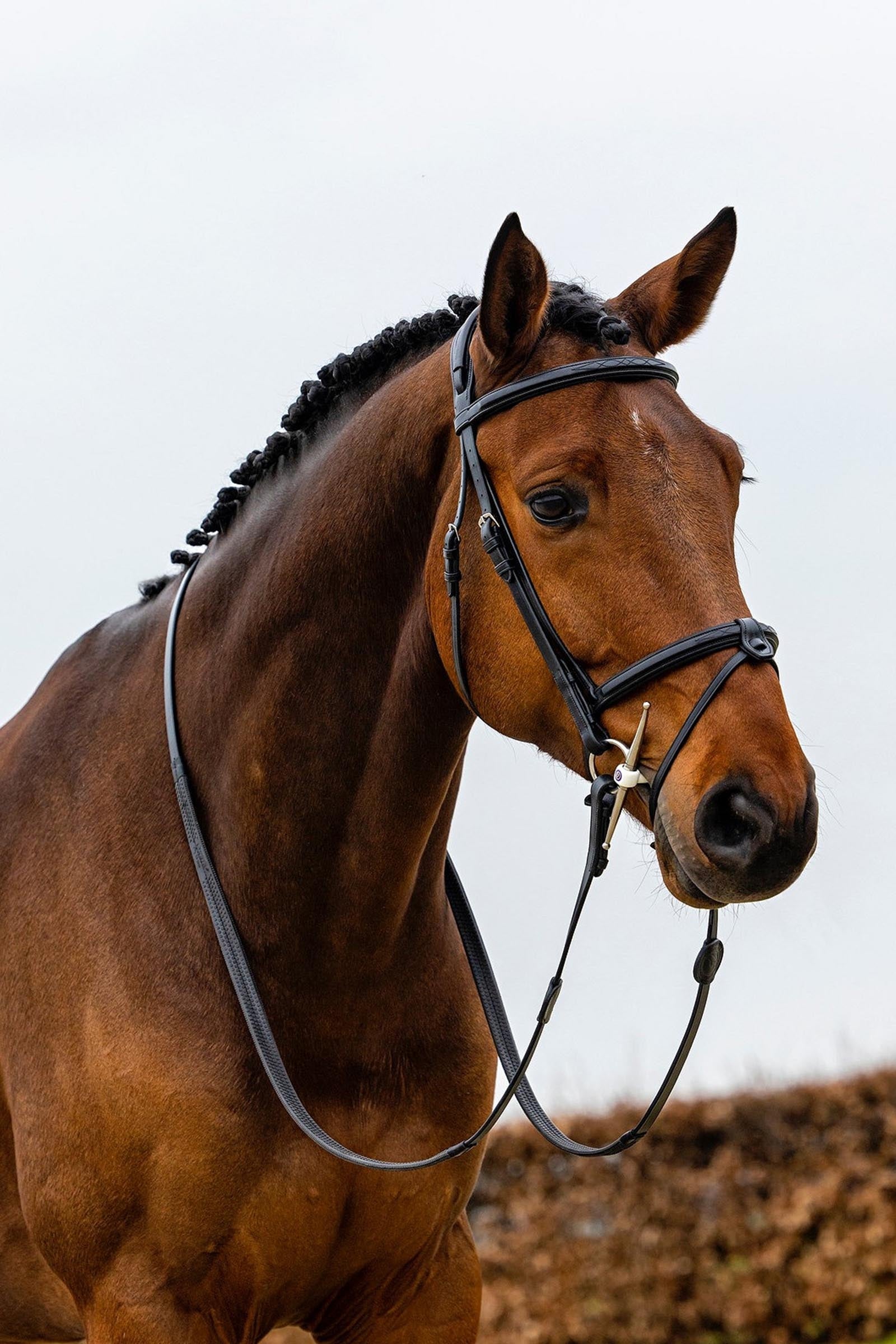 Trust Equestrian Geneva Combined Noseband Bridle Bridles & Reins