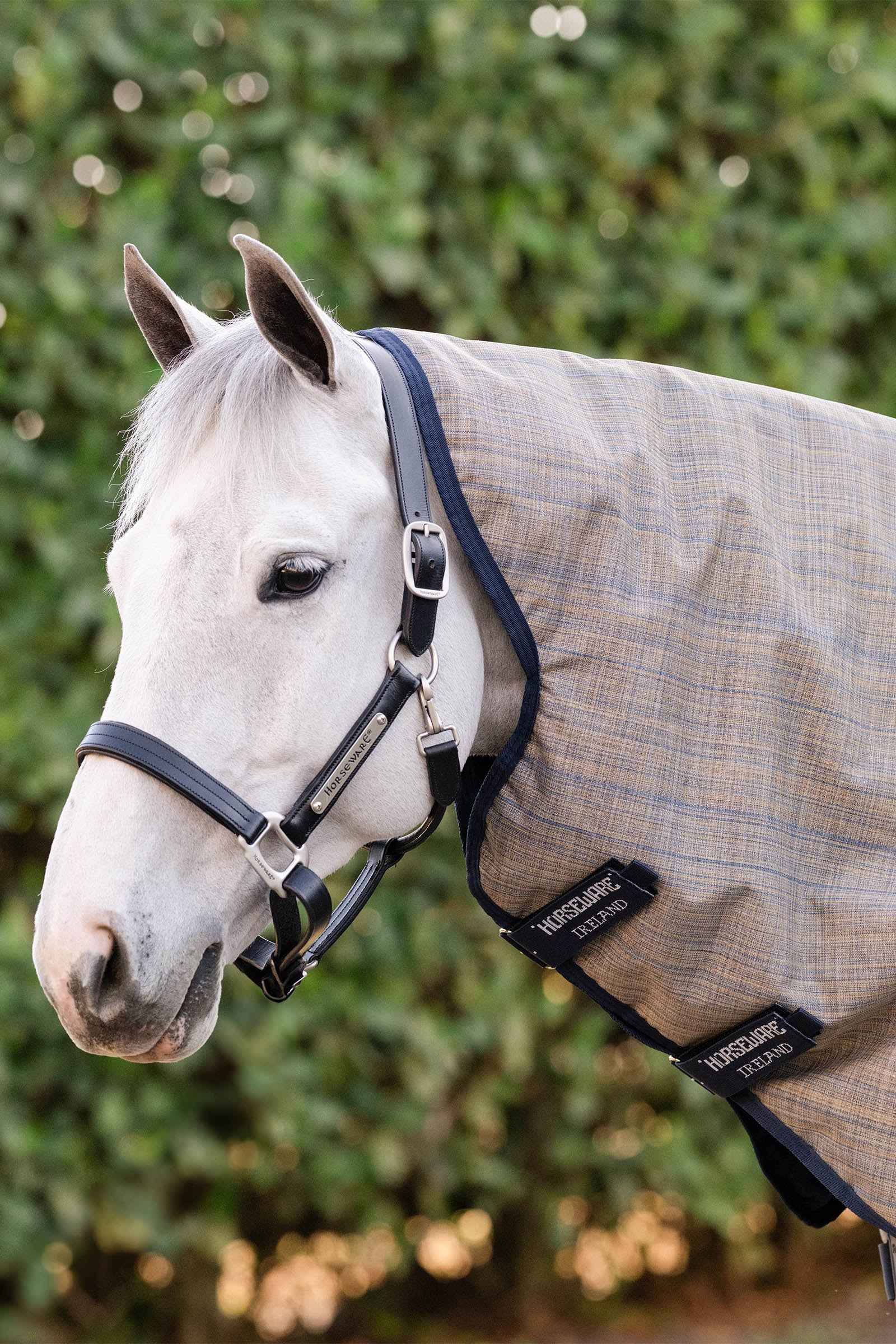 Horseware Amigo Hero 900 Revive Plus Turnout Rug With Detachable Neck, 200 g Horse Rugs