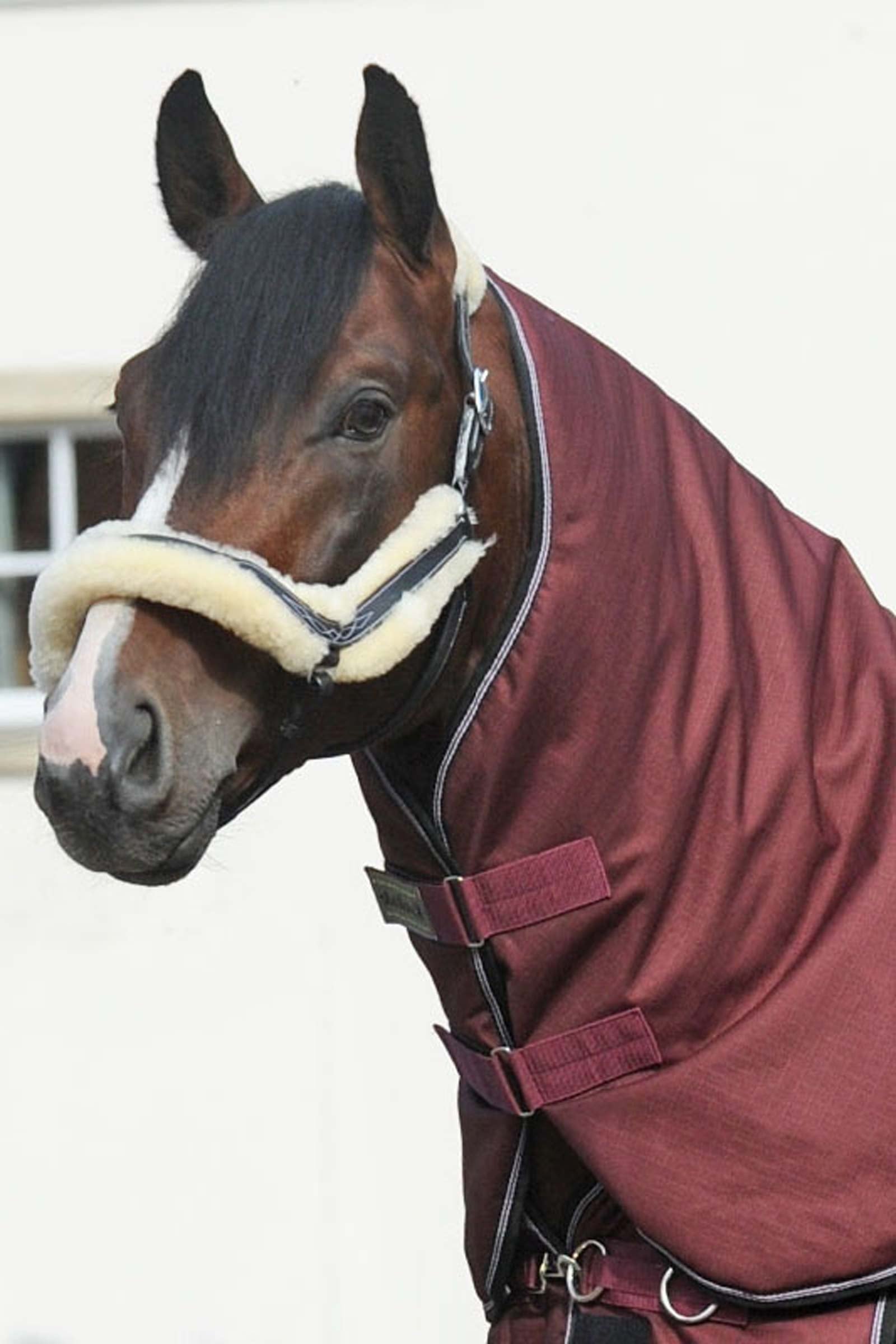 Kavalkade Hals til Alaska IV, 100 g Hestedækken