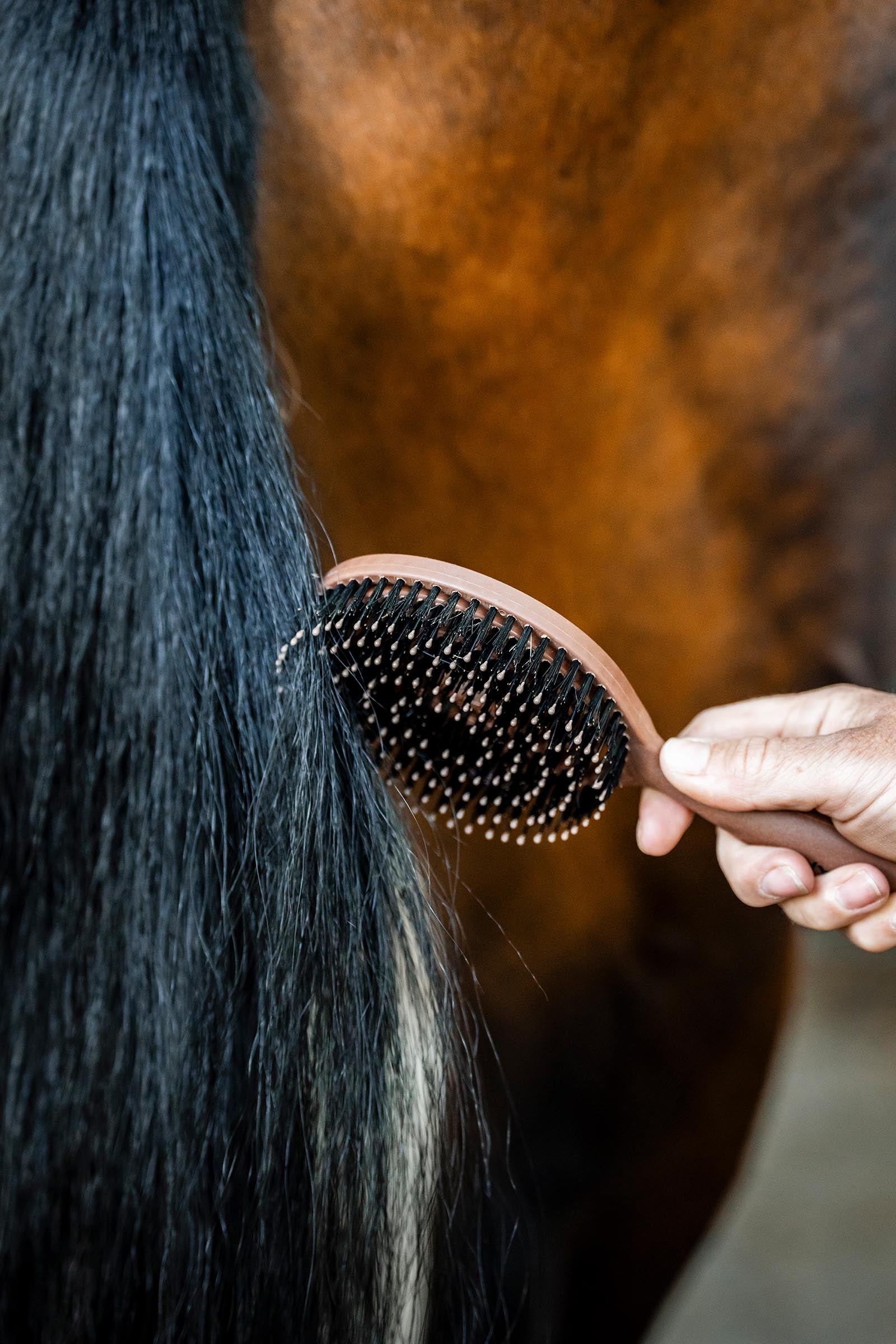 Horseware Mane & Tail Brush Horse Grooming Tools