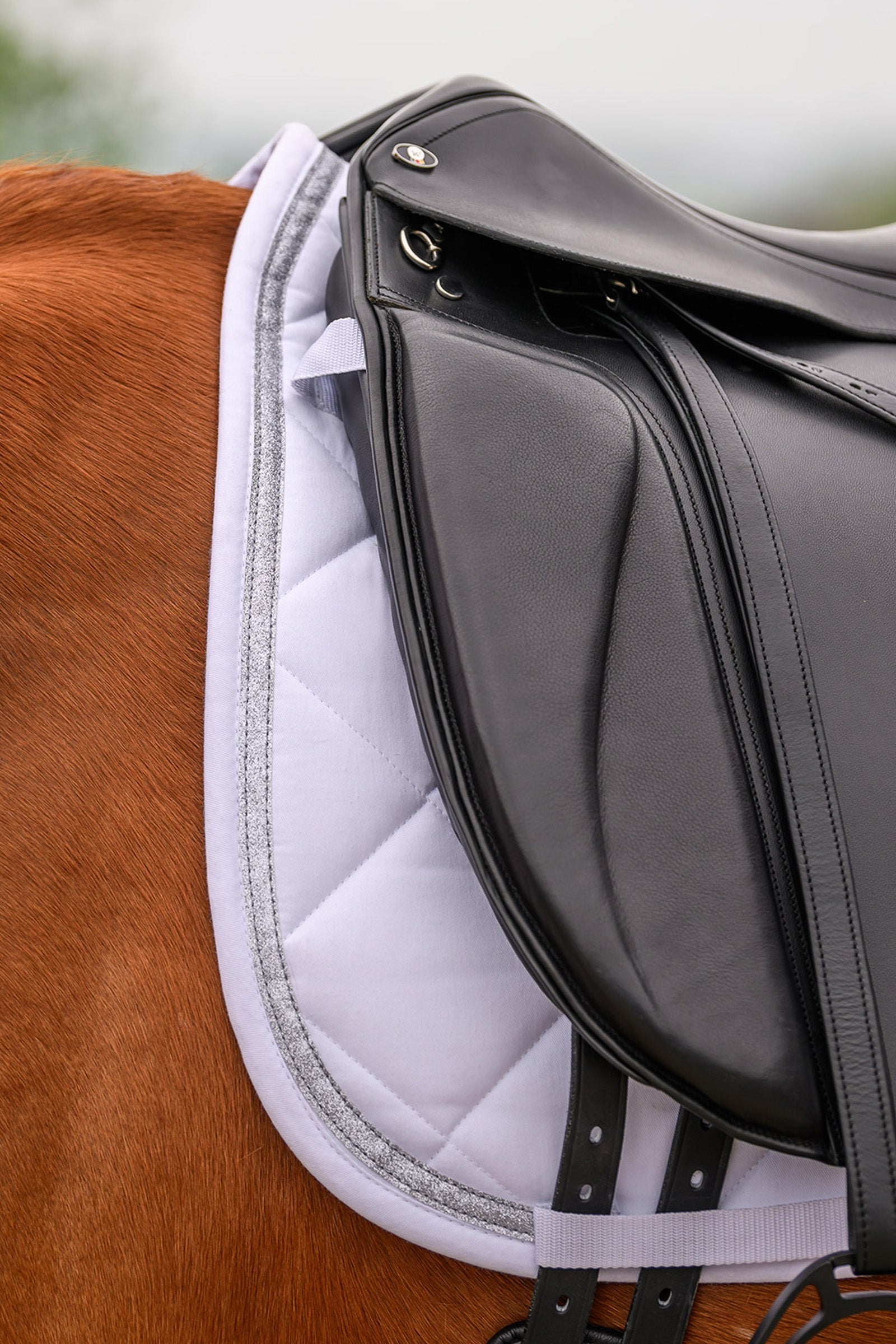 Waldhausen Competition Dressage Pad Saddle Pads