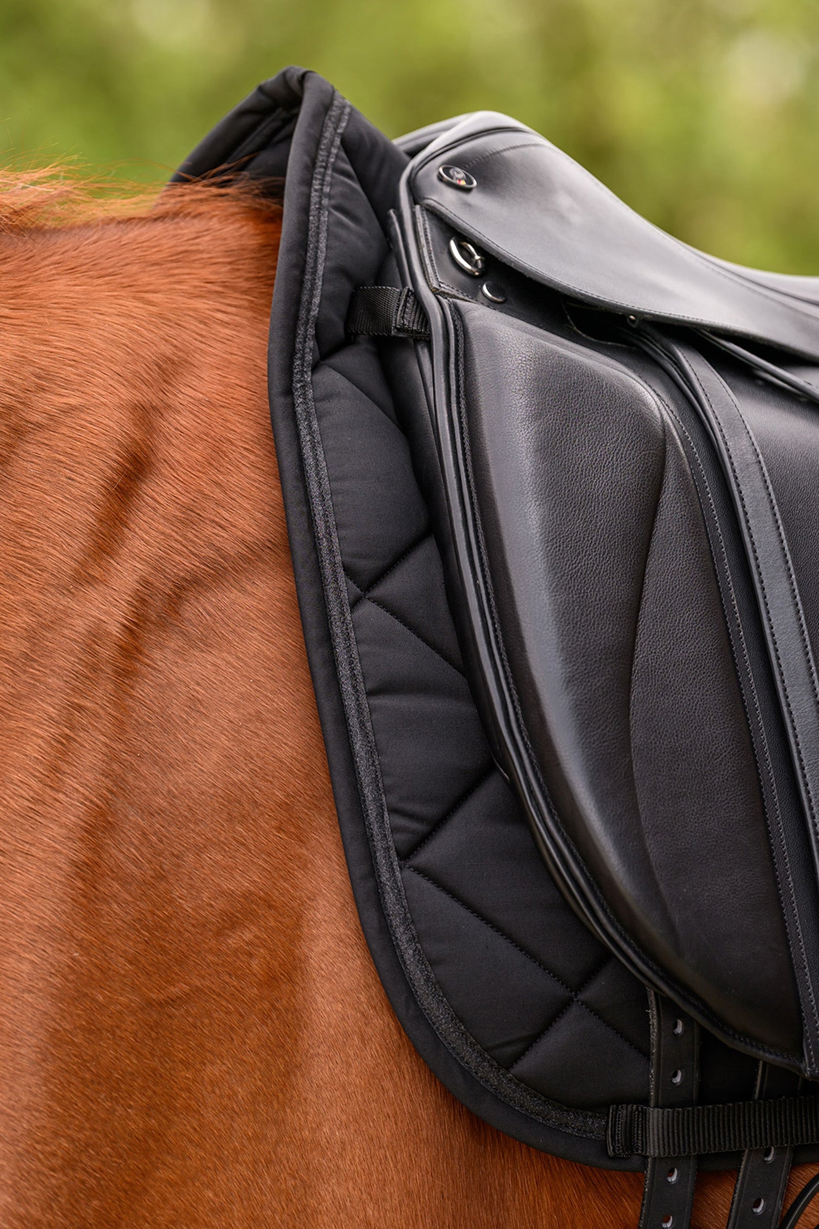 Waldhausen Competition Dressage Pad Saddle Pads