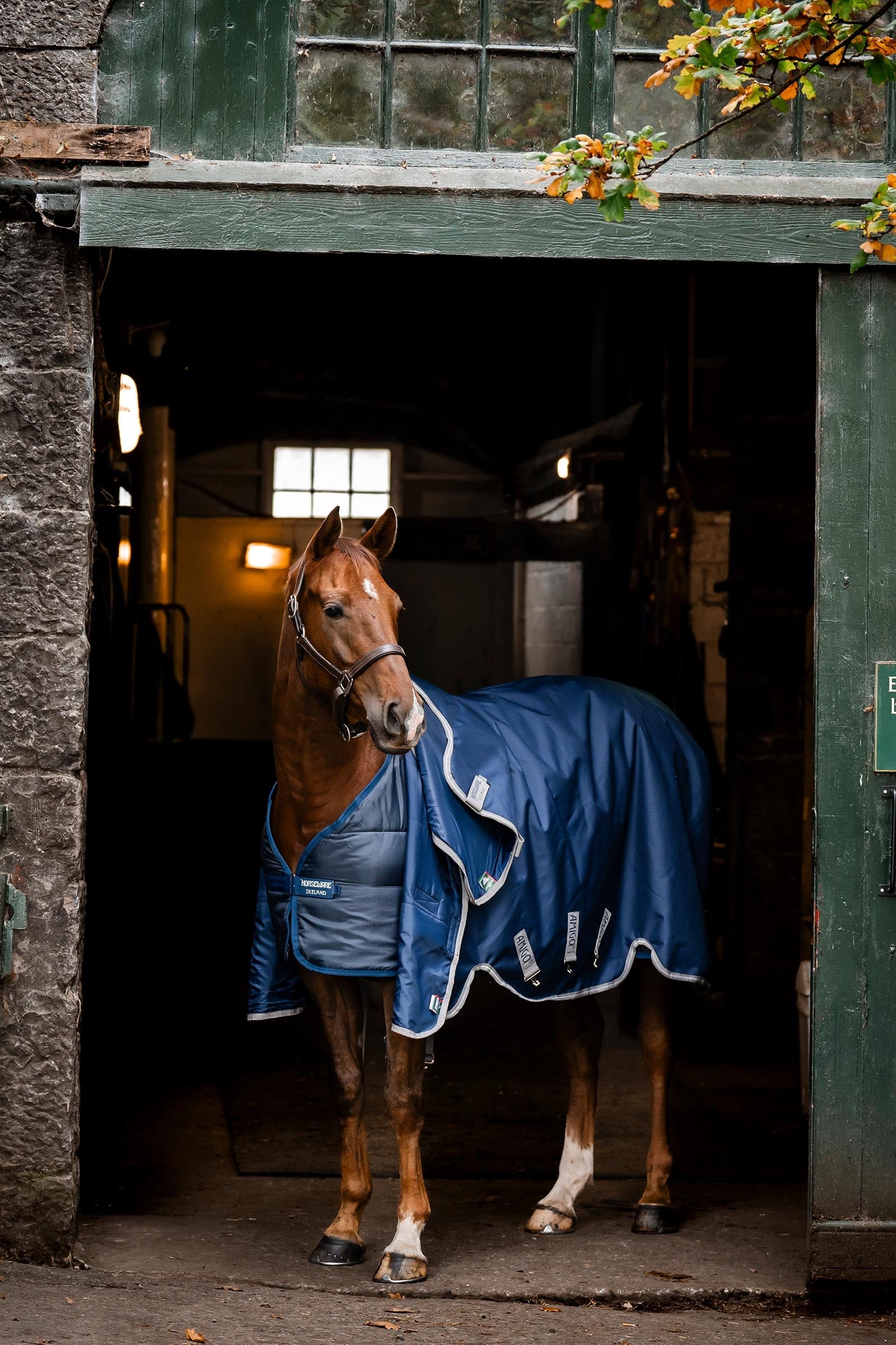 Horseware Liner 300g Horse Rugs