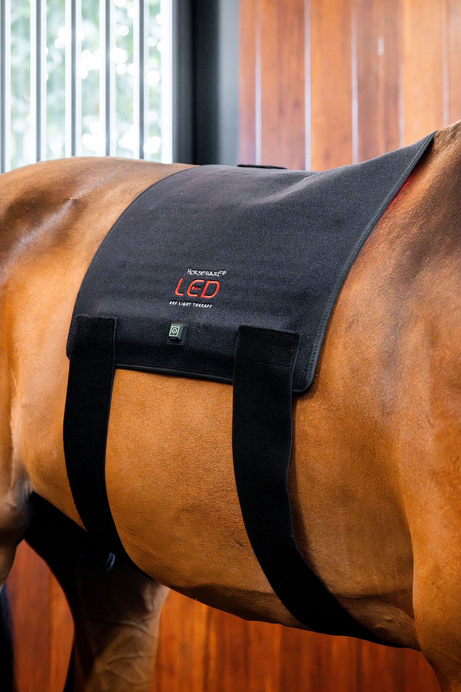 Horseware LED rødlysterapi Pad Hestedækken