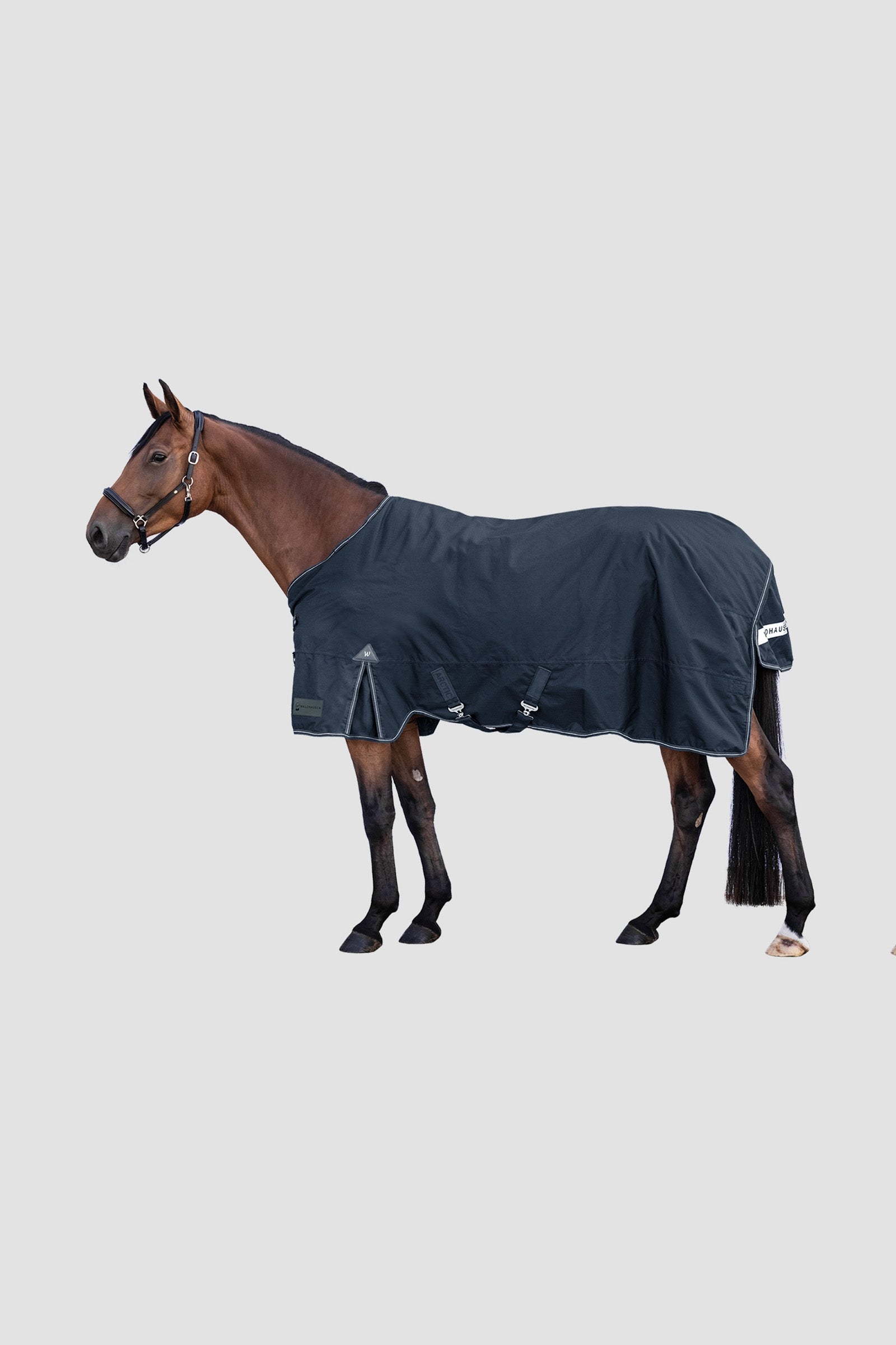 Waldhausen Outdoor Rug Arctic 300 g Hestedækken