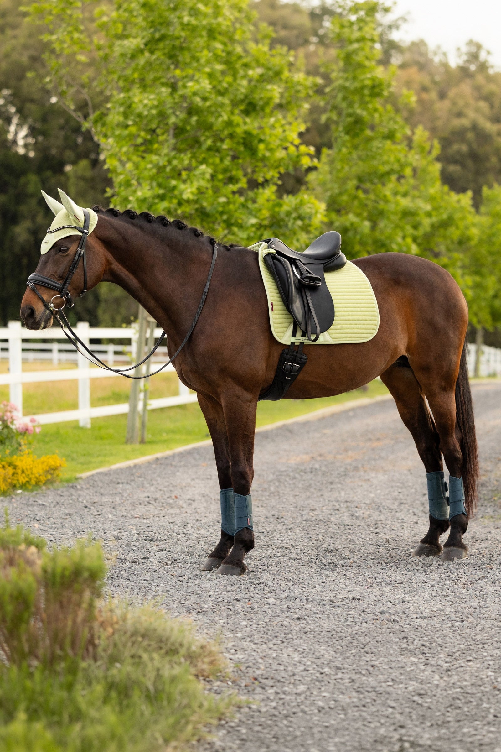 LeMieux Air-Tek Mesh Dressage Square Saddle Pads