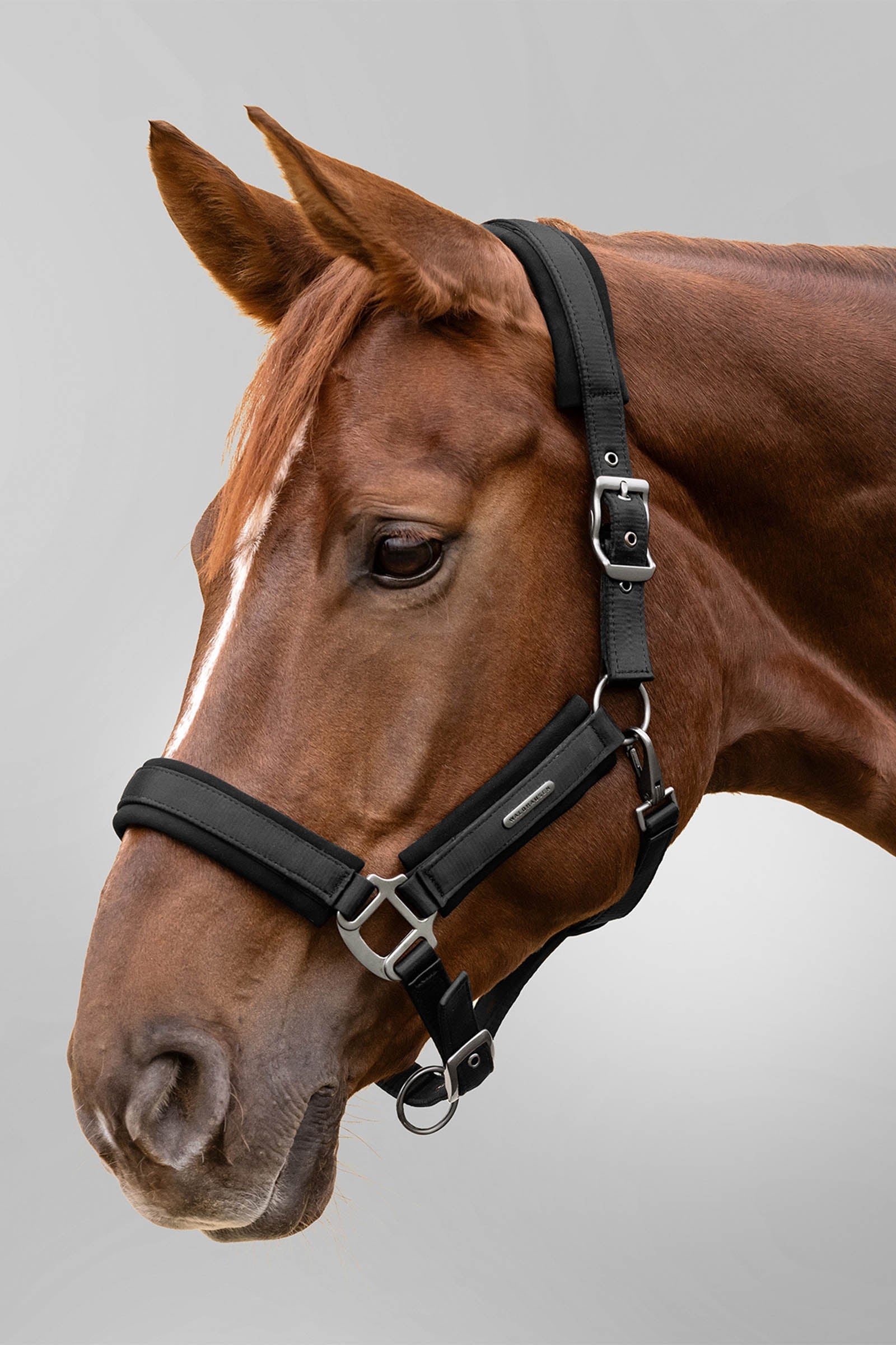 Waldhausen Soft Touch Halter  Halters & Leads