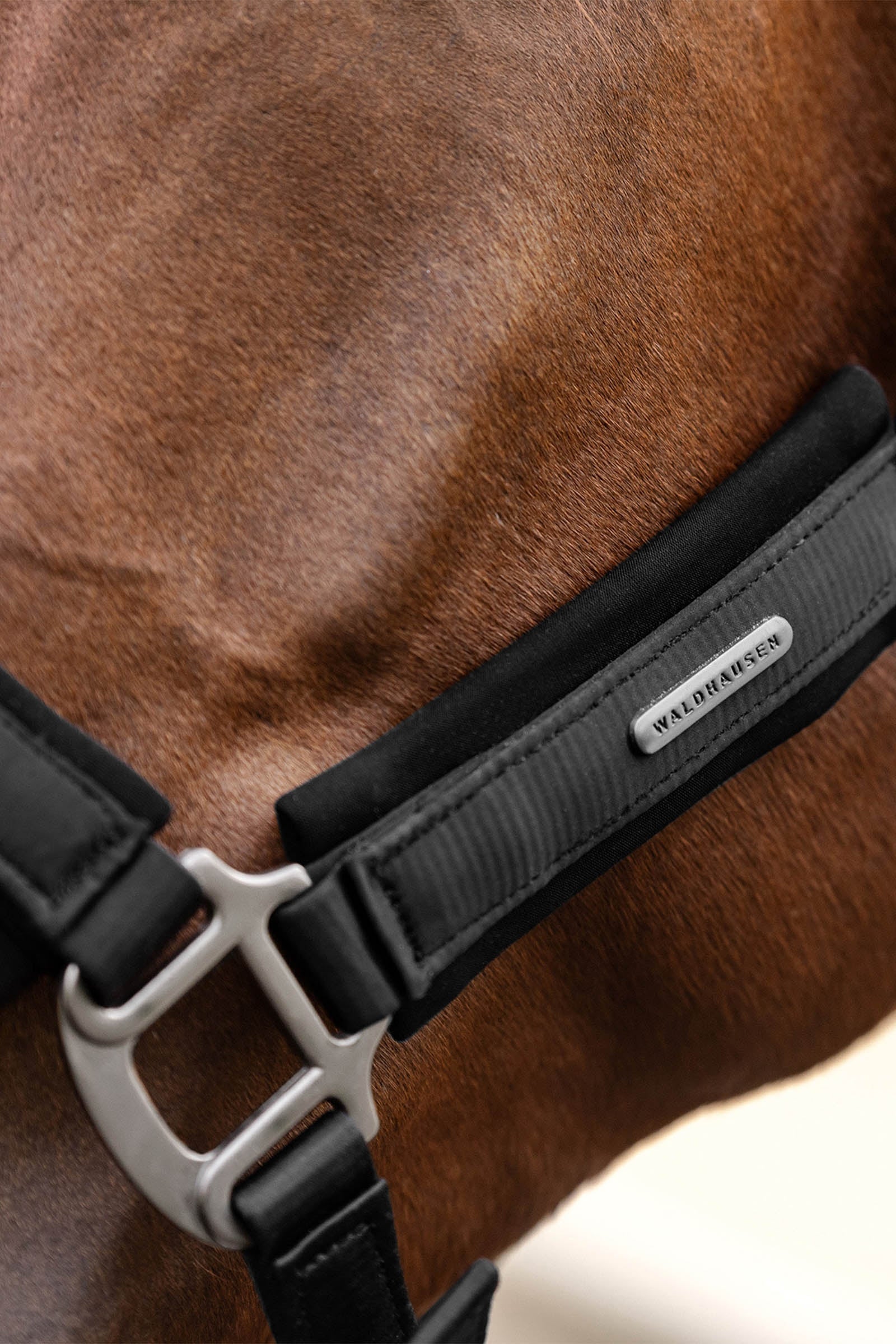 Waldhausen Soft Touch Halter  Halters & Leads