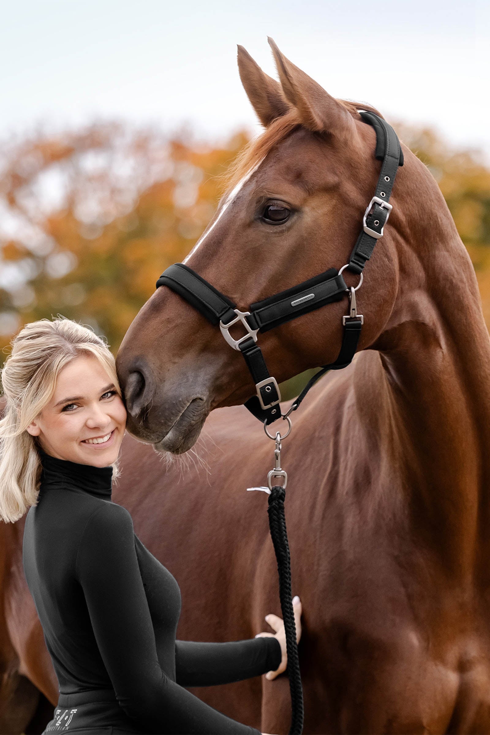 Waldhausen Soft Touch Halter  Halters & Leads