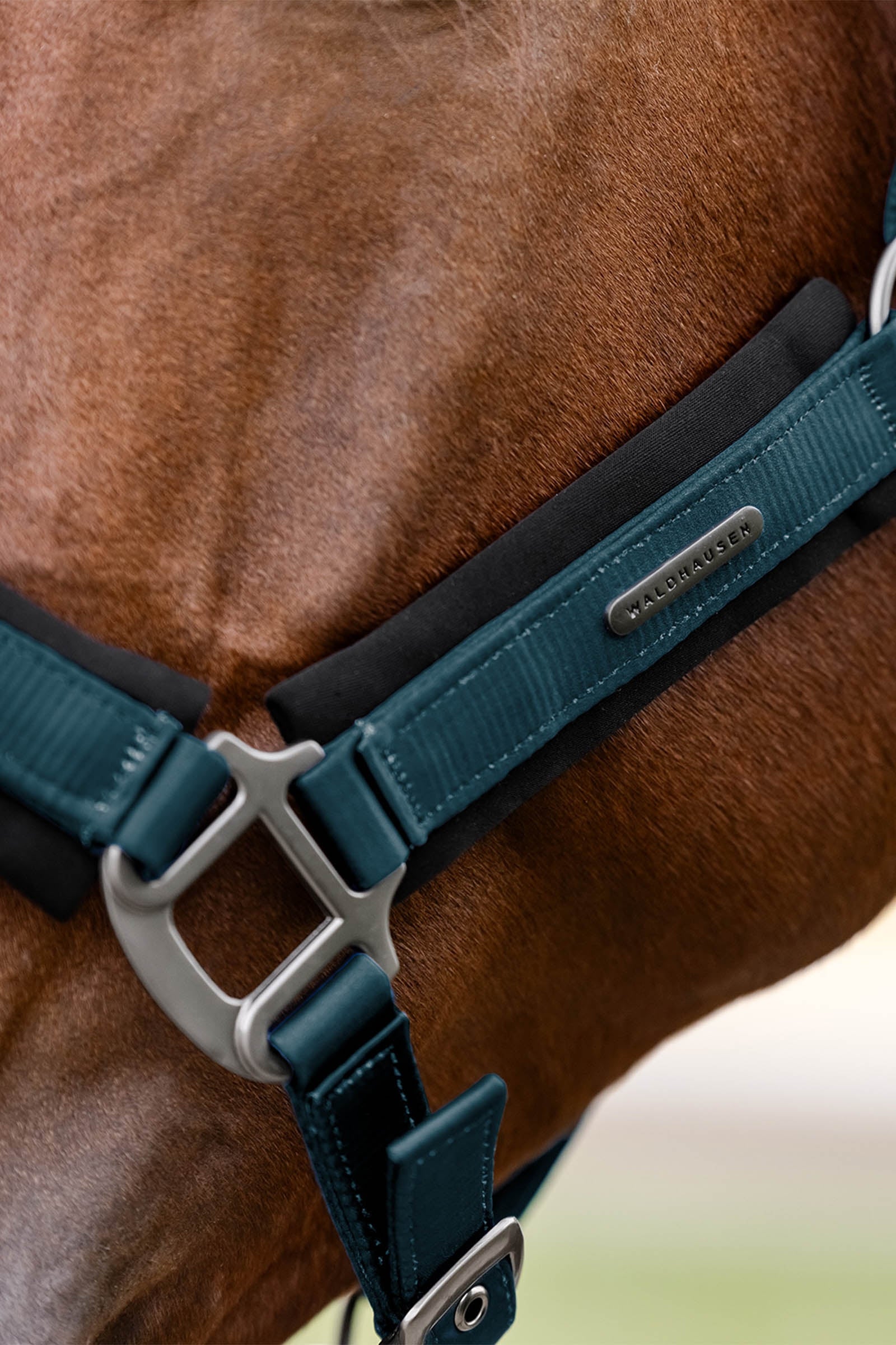 Waldhausen Soft Touch Halter  Halters & Leads