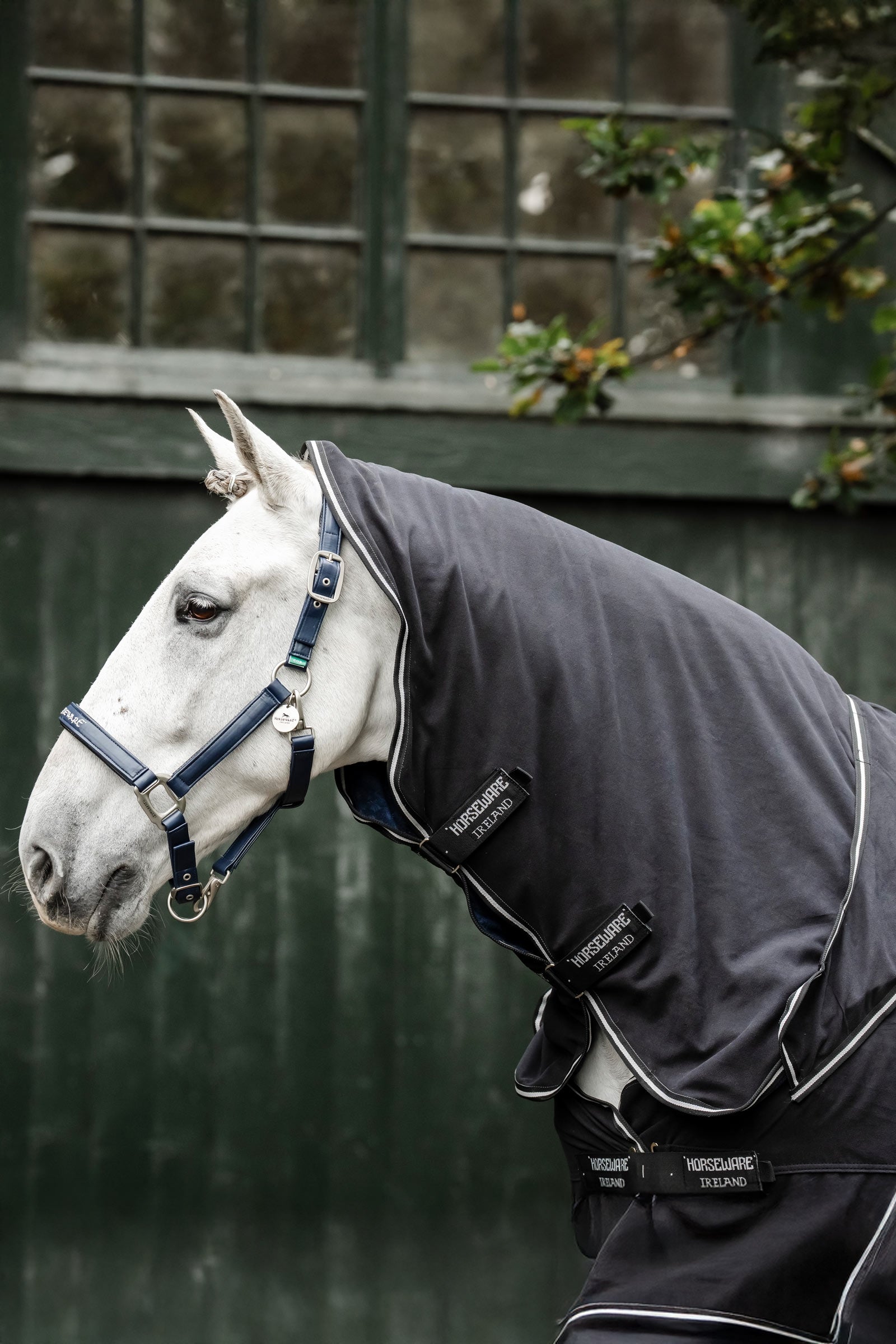 Horseware Show Ready Rug Horse Rugs