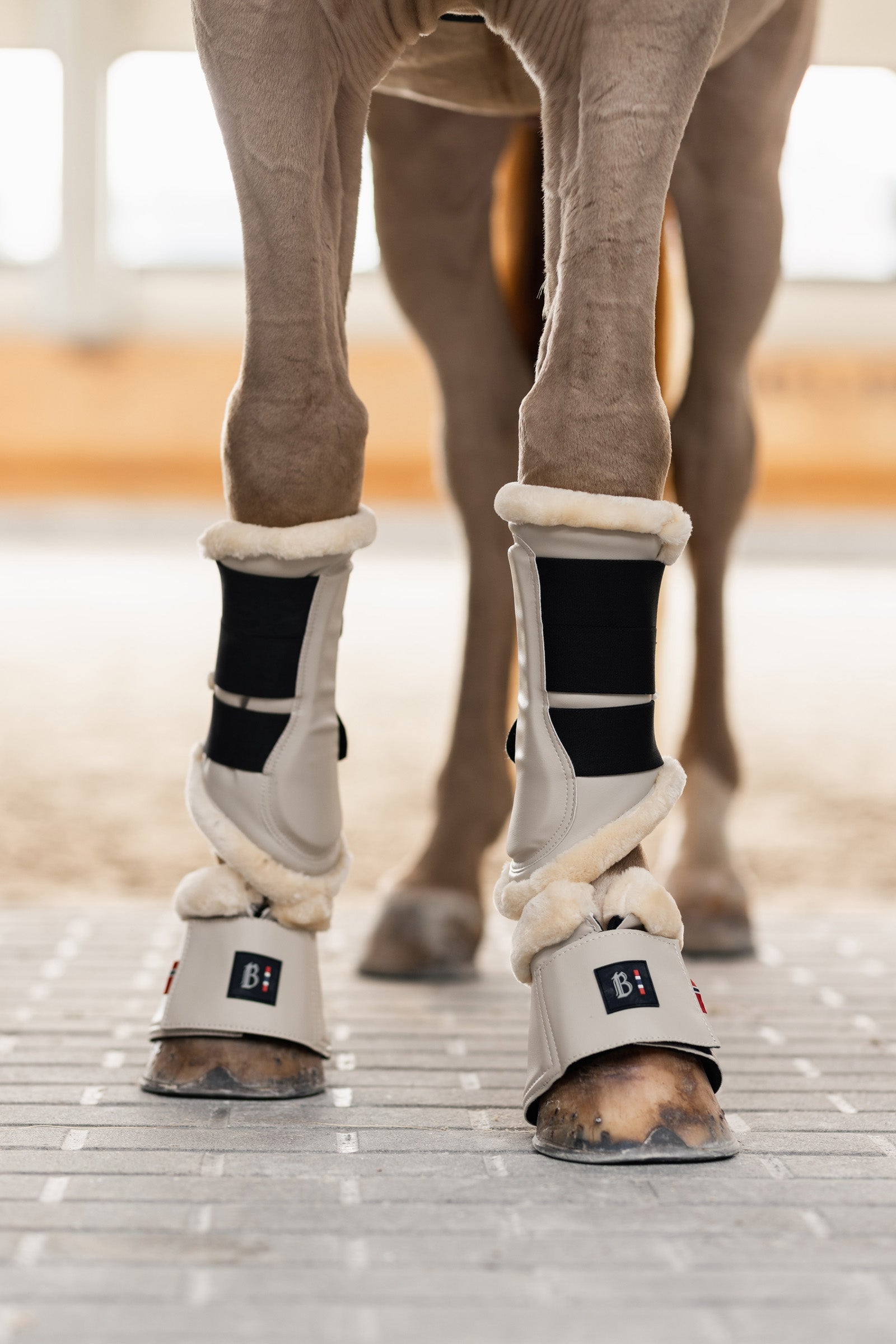 B Vertigo Empowerment Bell Boot Leg Protection & Hoof Protection for Horses