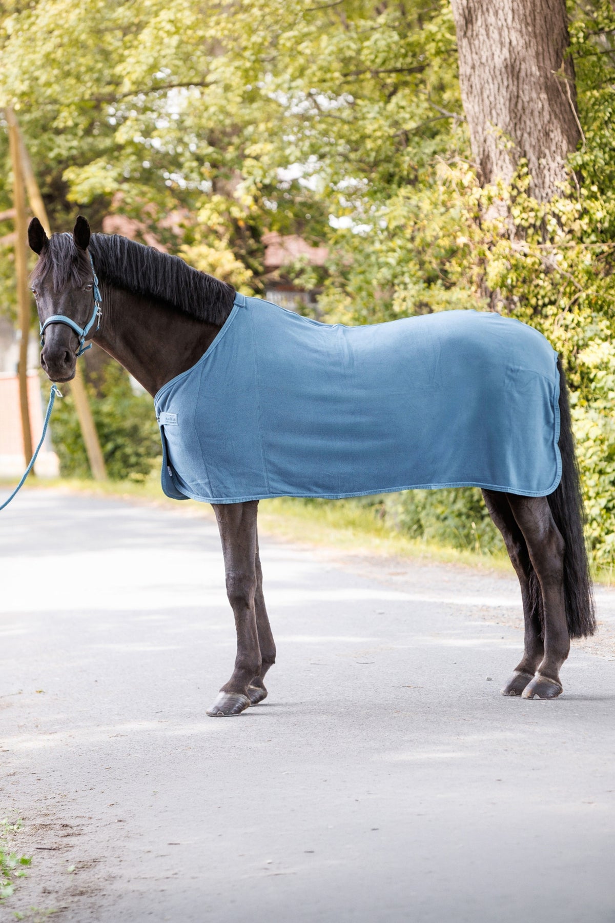 Kavalkade Noble Fleece Cooler Rug Horse Rugs