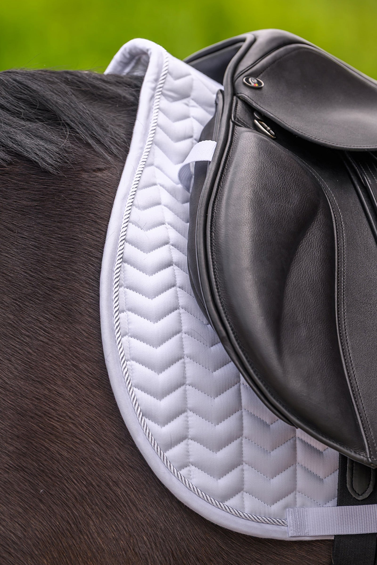 Waldhausen Classic All Purpose Saddle Pad Saddle Pads