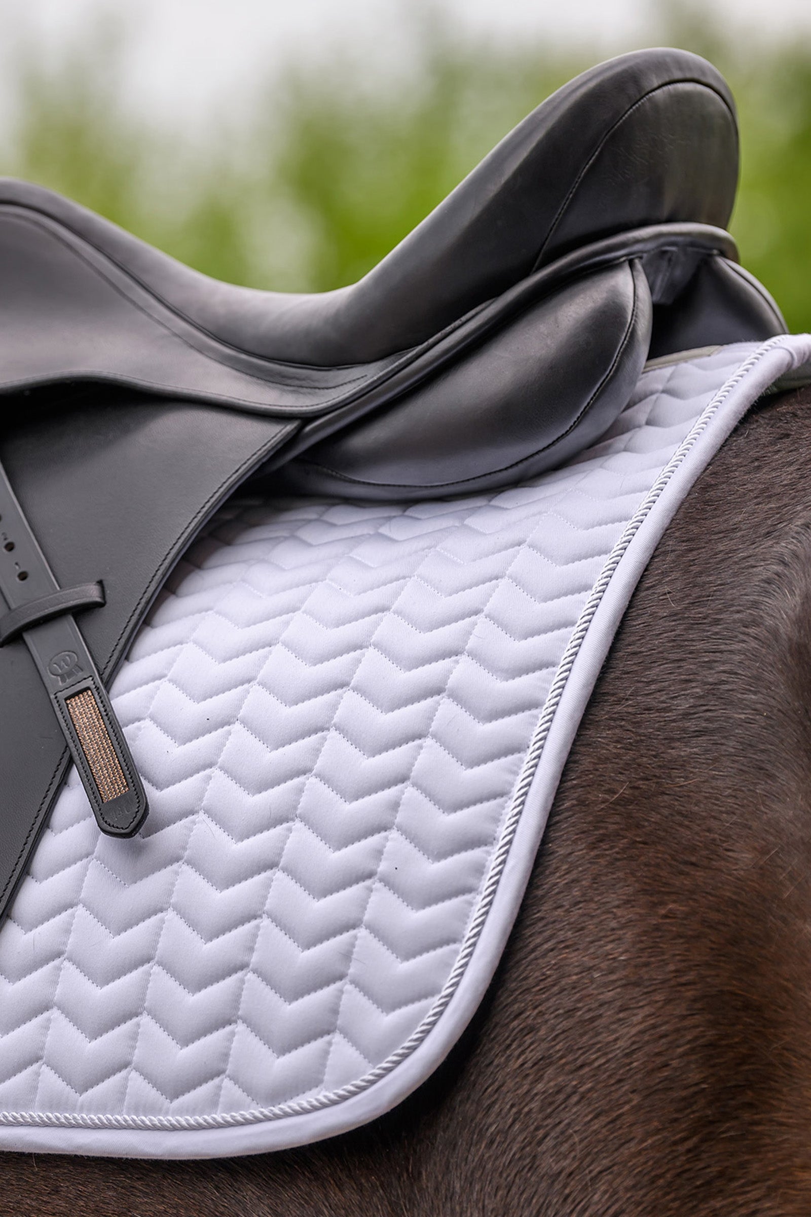 Waldhausen Classic All Purpose Saddle Pad Saddle Pads