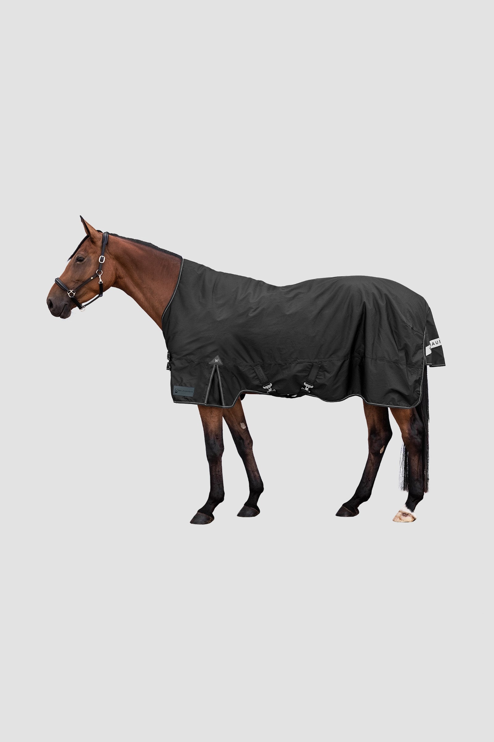 Waldhausen Arctic Outdoor Rug With High Neck, 100 g Hestedækken