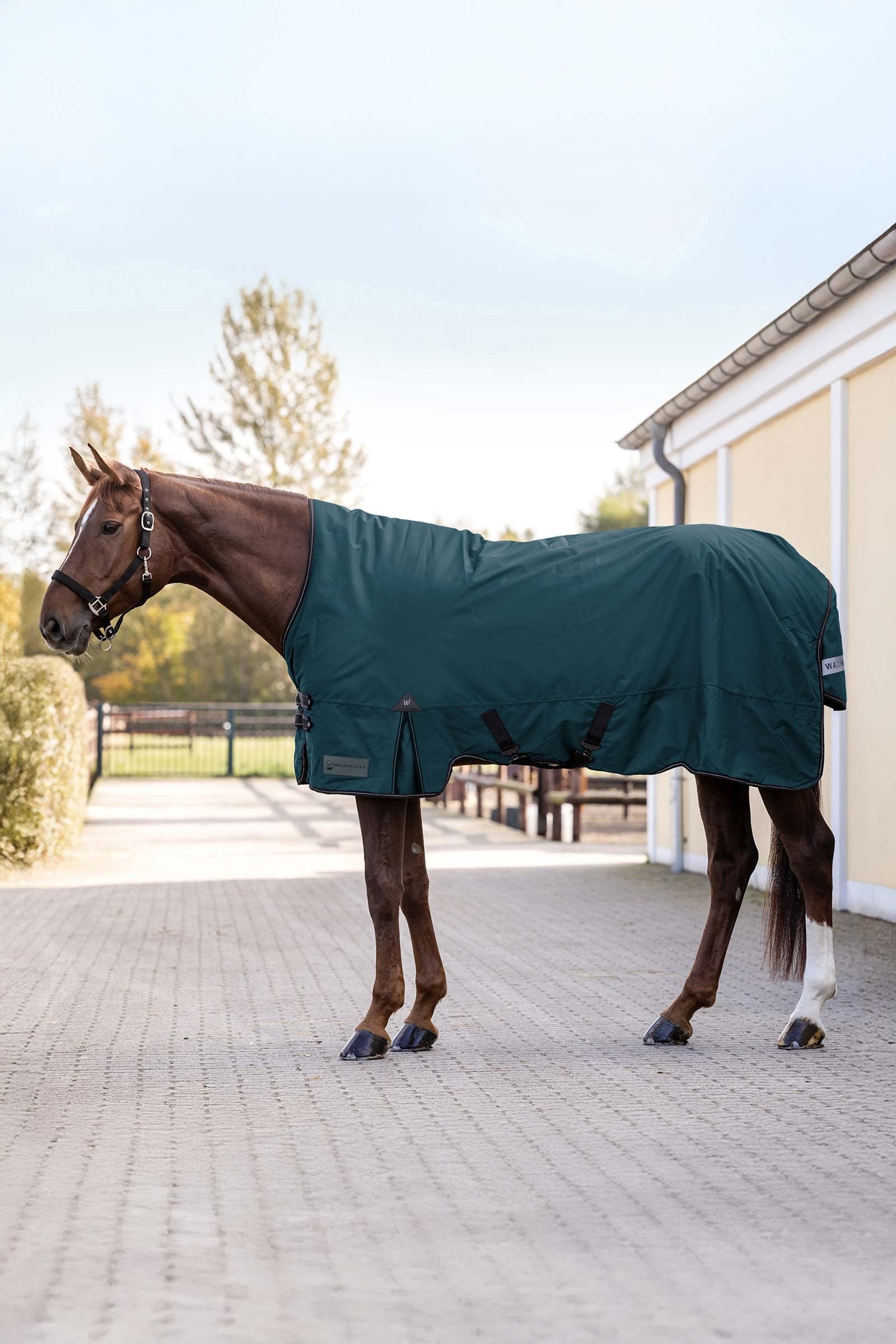 Waldhausen Arctic Outdoor Rug With High Neck, 100 g Hestedækken
