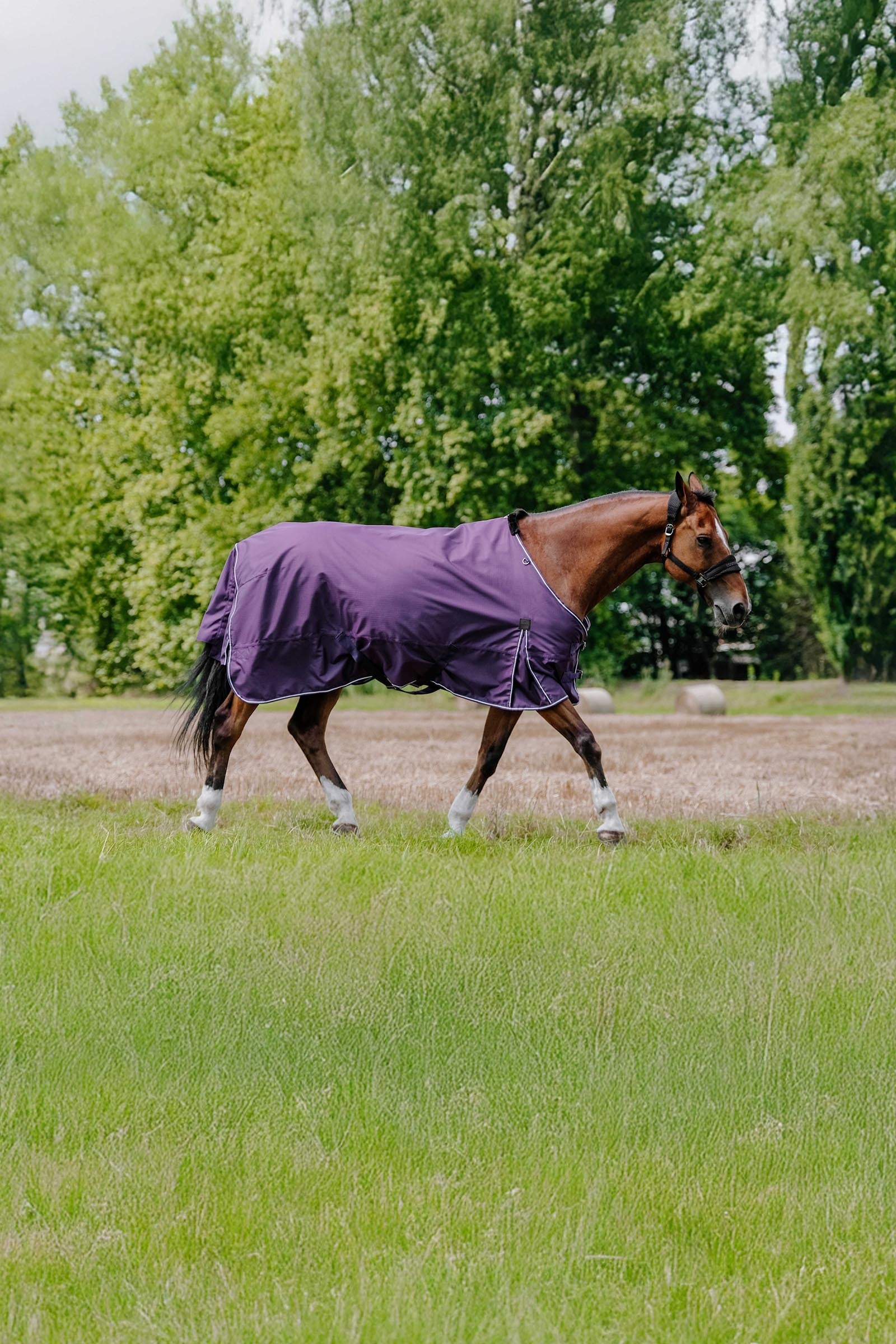 EQUITHÈME TYREX Aisance 600D folddækken, 0 g Hestedækken