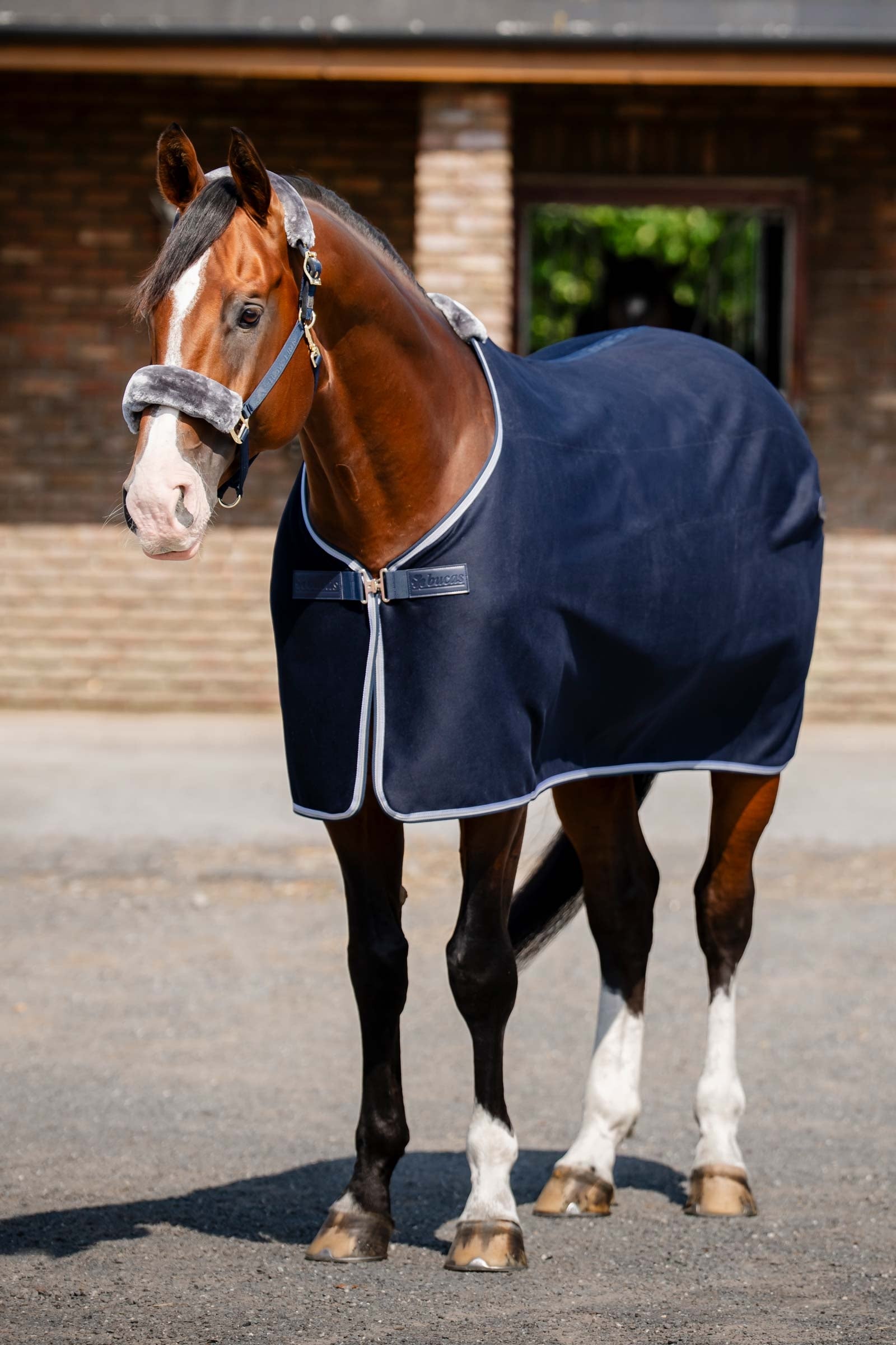 Bucas Emerald Wool Rug Hestedækken