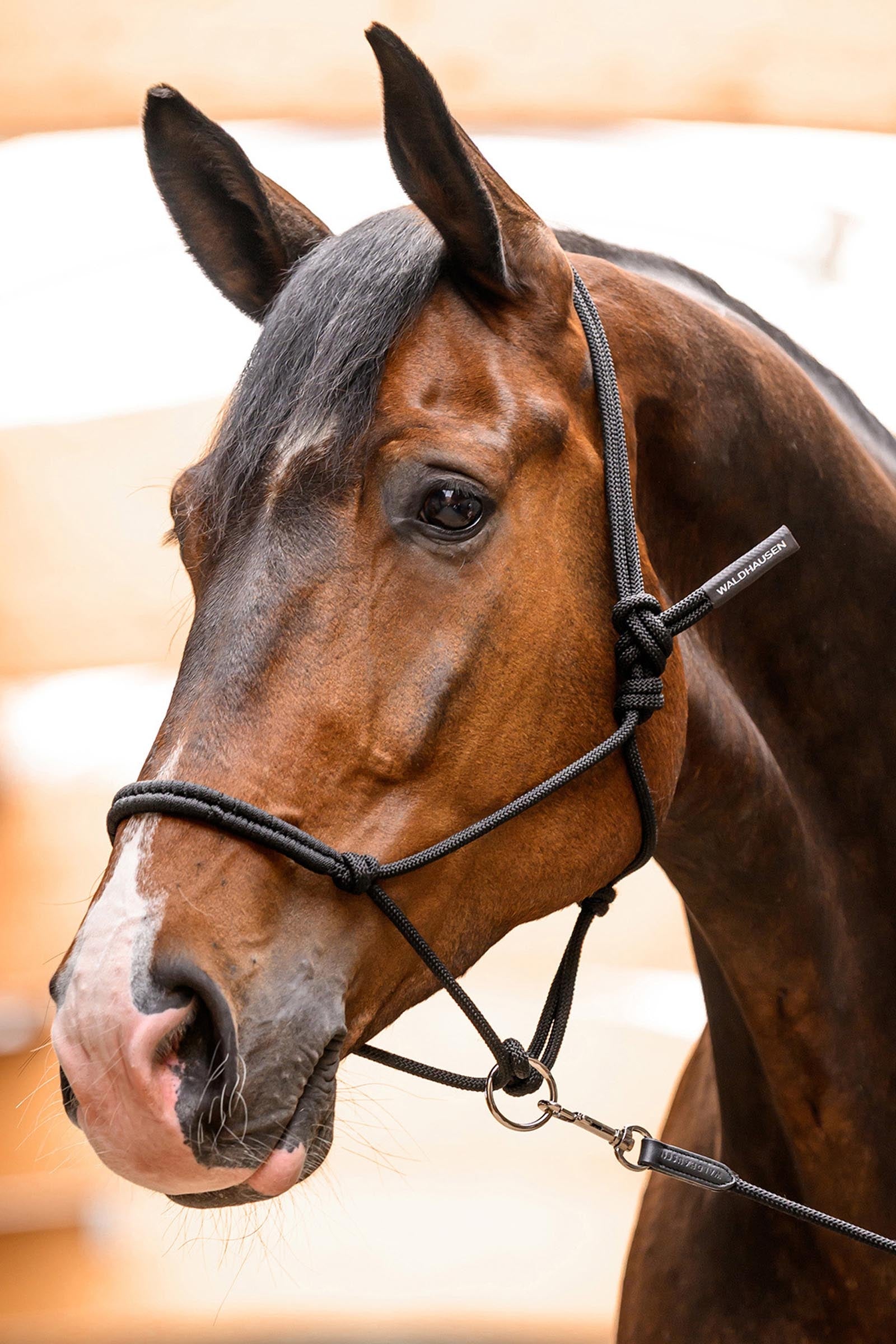 Waldhausen Knotted Halter With Movable Ring Halters & Leads