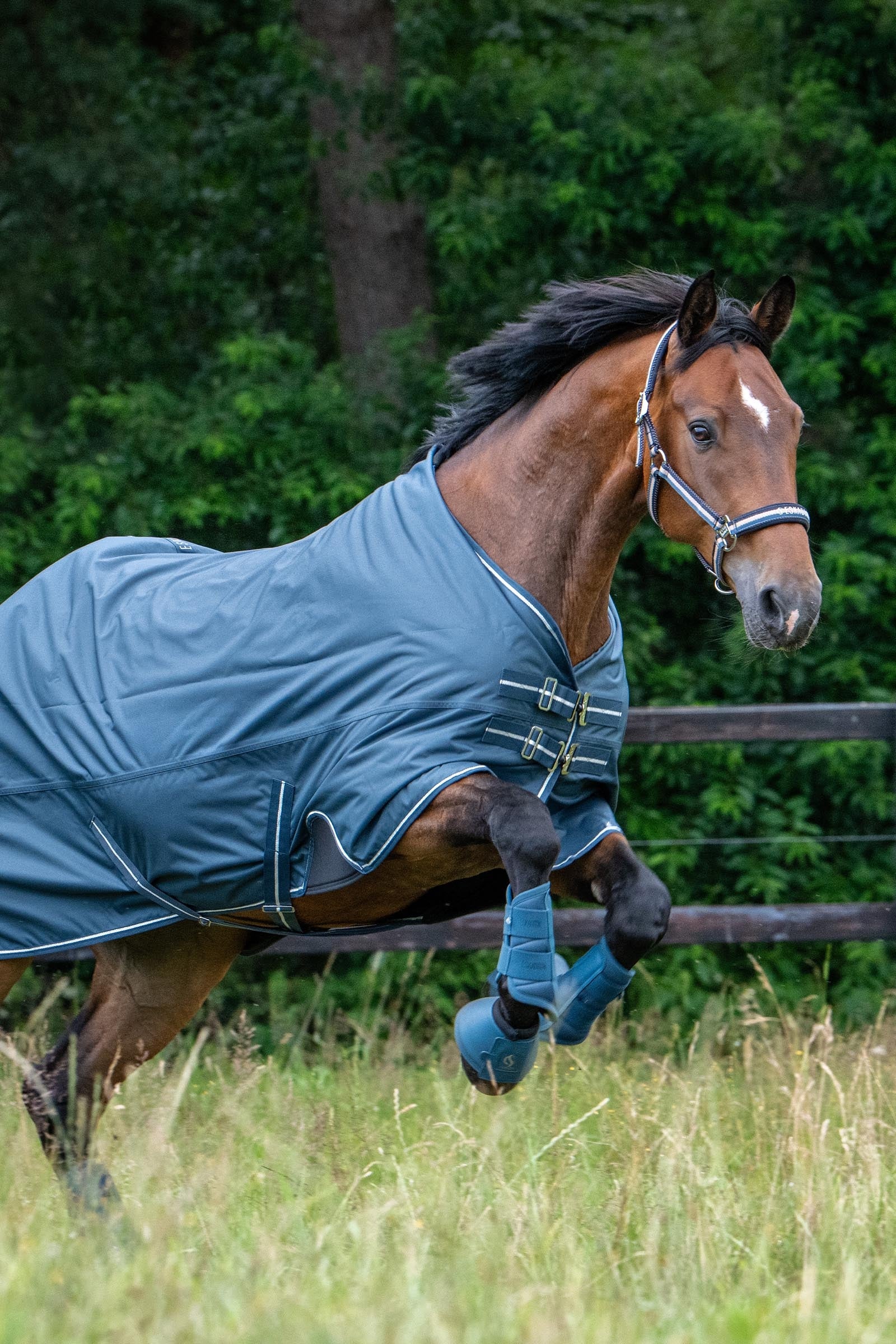 Eskadron Classic Sport SS26 Softslate Bell Boots Leg & Hoof Protection