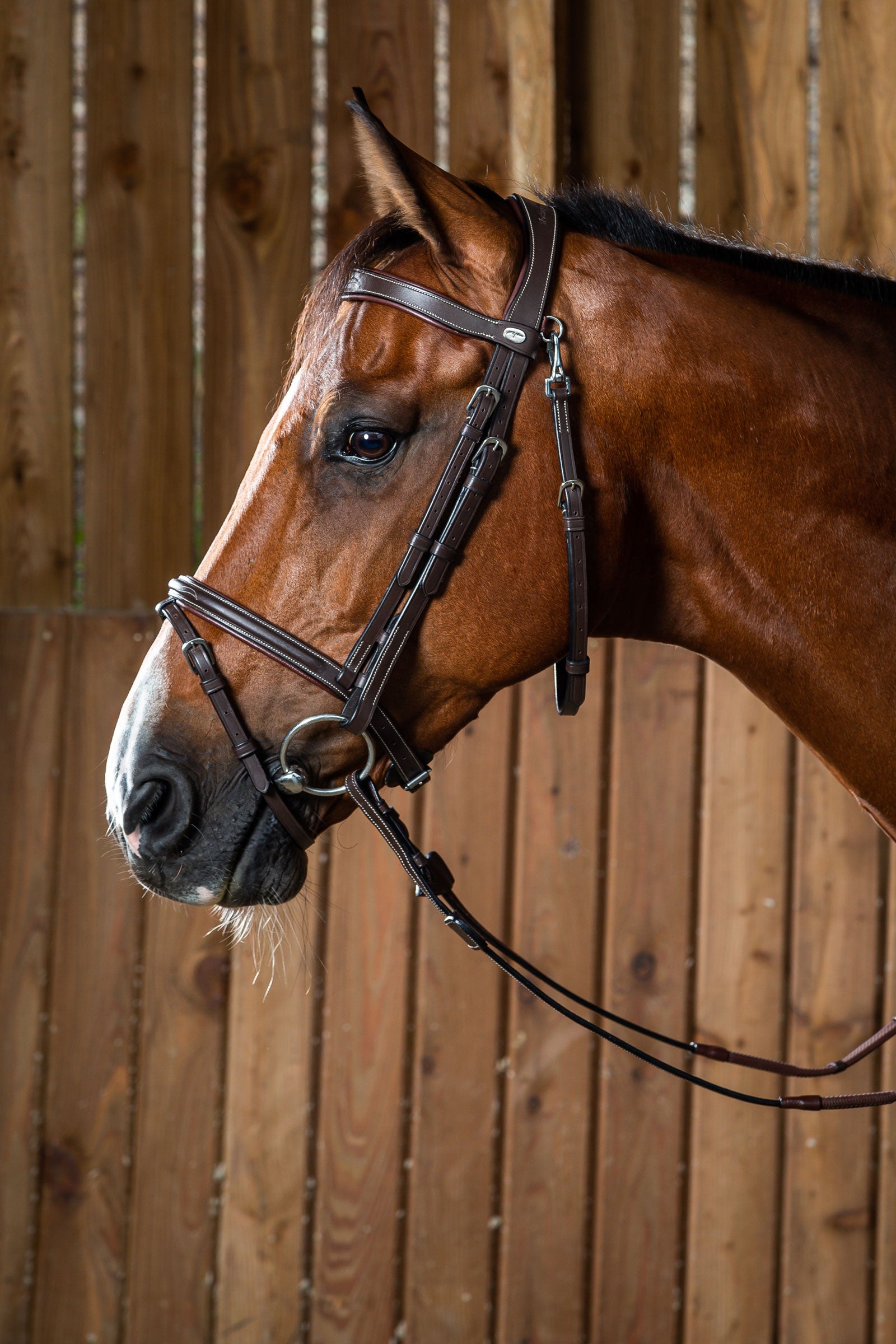 Dy'on Working Flash Noseband Bridle With Snap Hooks  Bridles & Reins