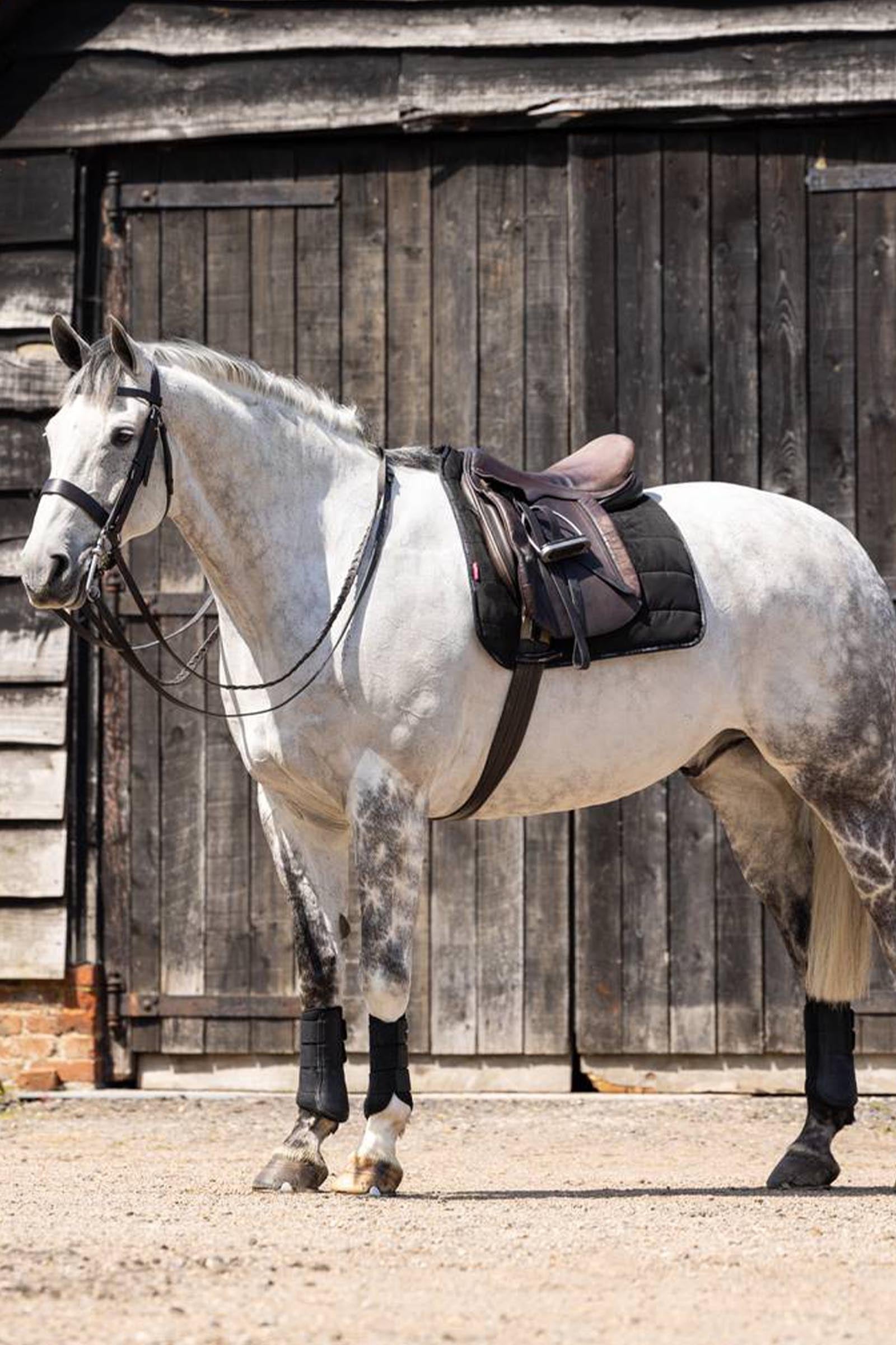 LeMieux Suede Dressage Work Pad Saddle Pads