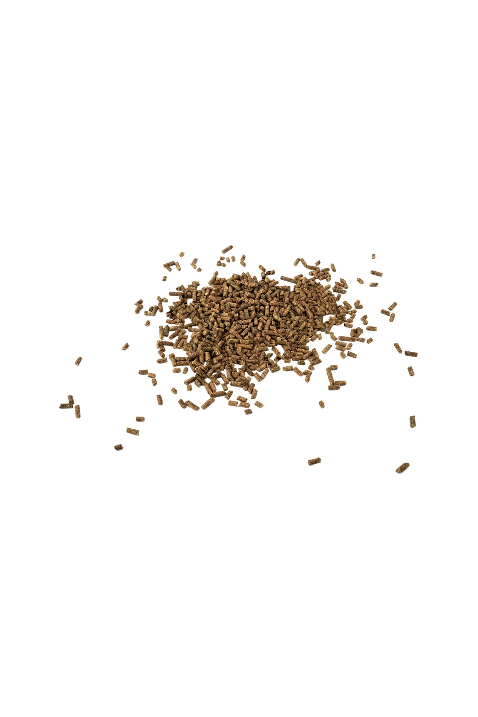 Waldhausen Magnesium forte - For more balance, 1kg Horse Feed & Nutrition