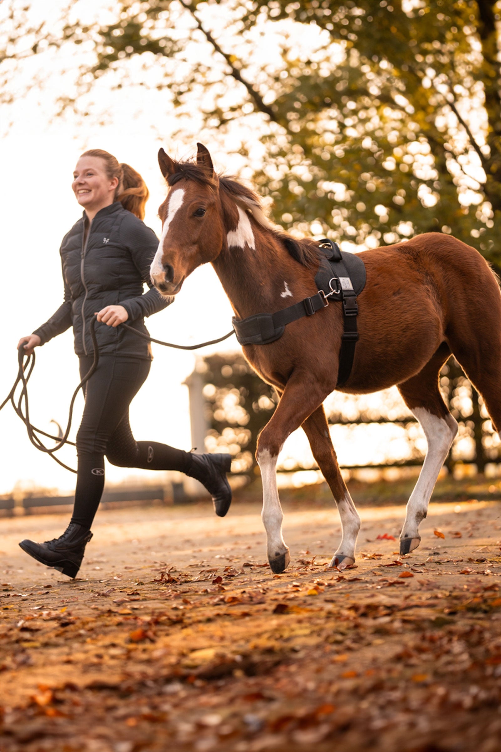 Kavalkade Foalmaster Foal Harness With Handle Halters & Leads