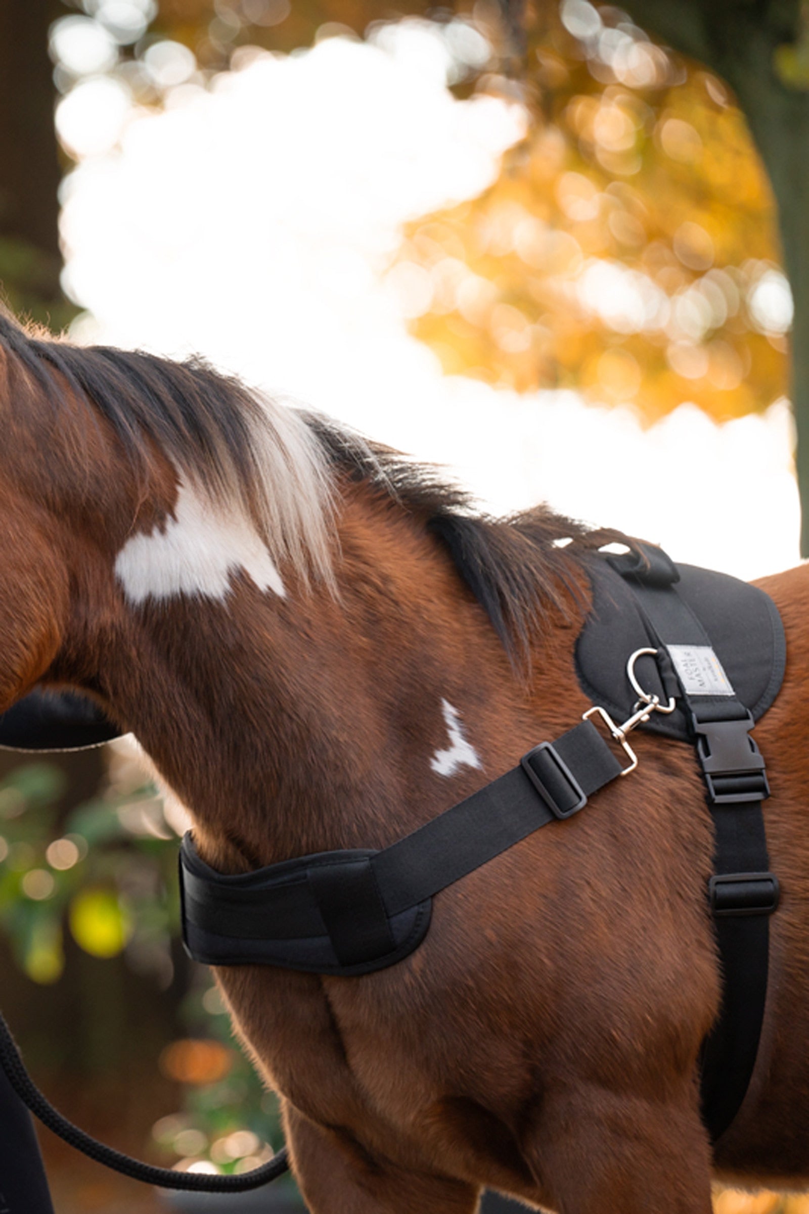 Kavalkade Foalmaster Foal Harness With Handle Halters & Leads
