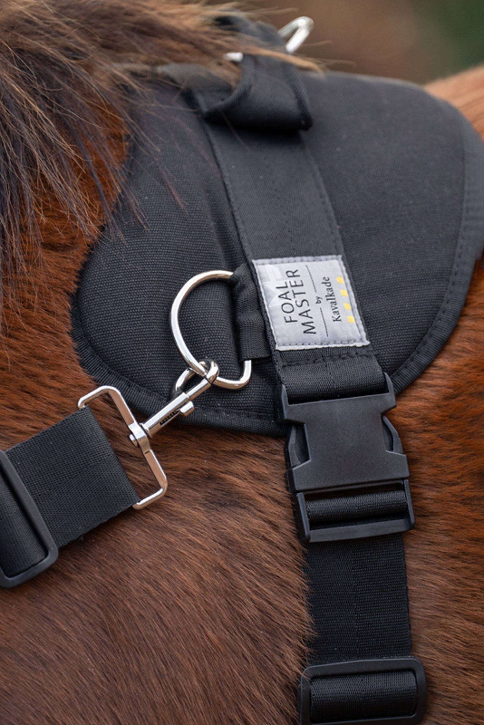 Kavalkade Foalmaster Foal Harness With Handle Halters & Leads