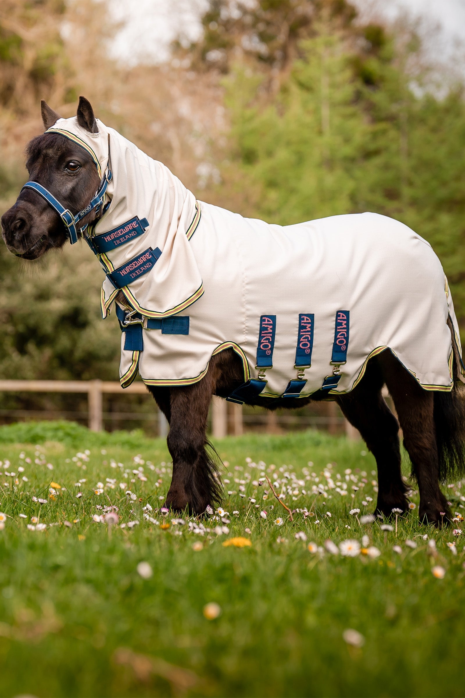 Horseware Amigo Ripstop Hoody Petite, flue dækken Hestedækken