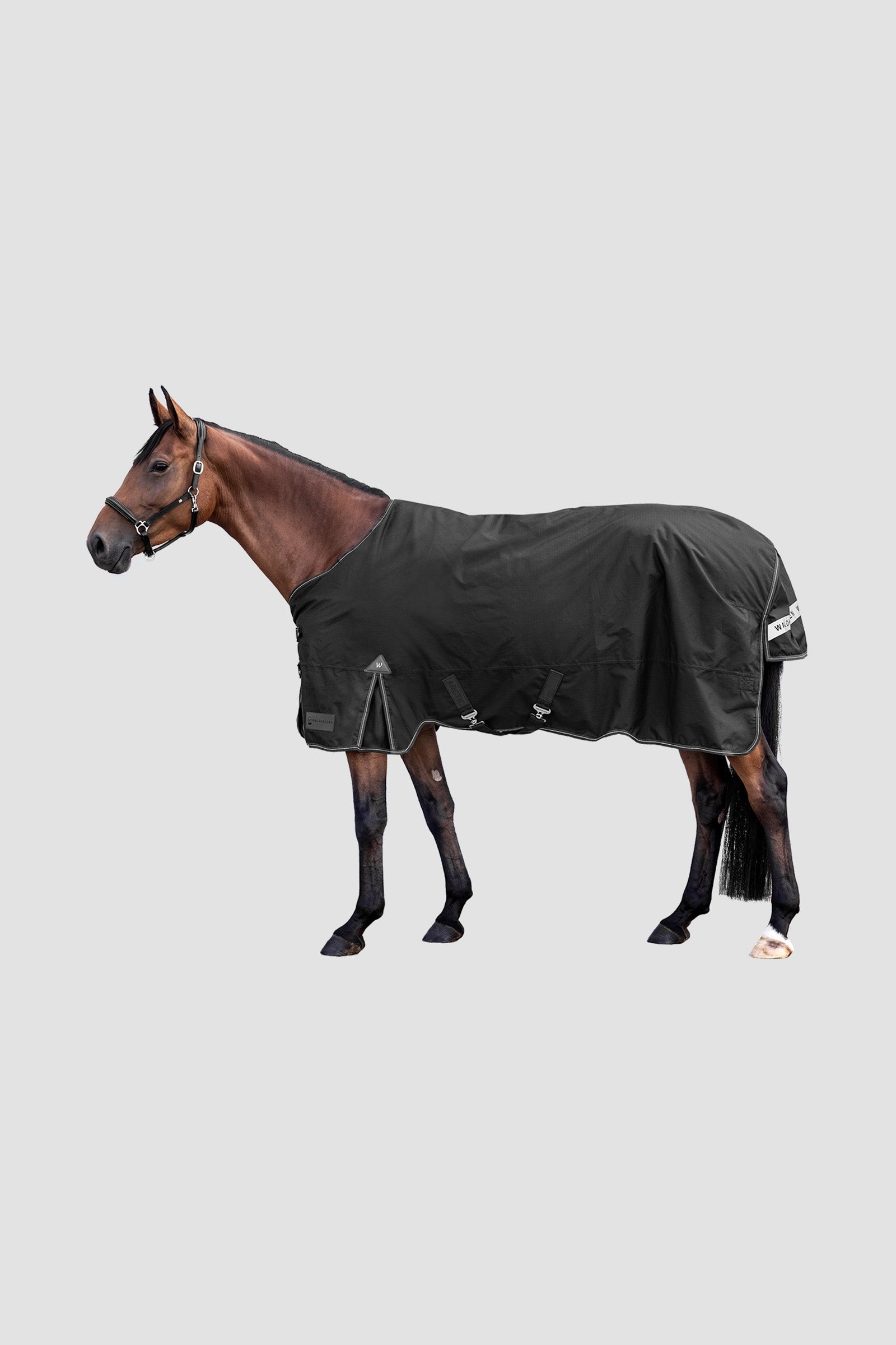 Waldhausen Outdoor Rug Arctic Light Hestedækken