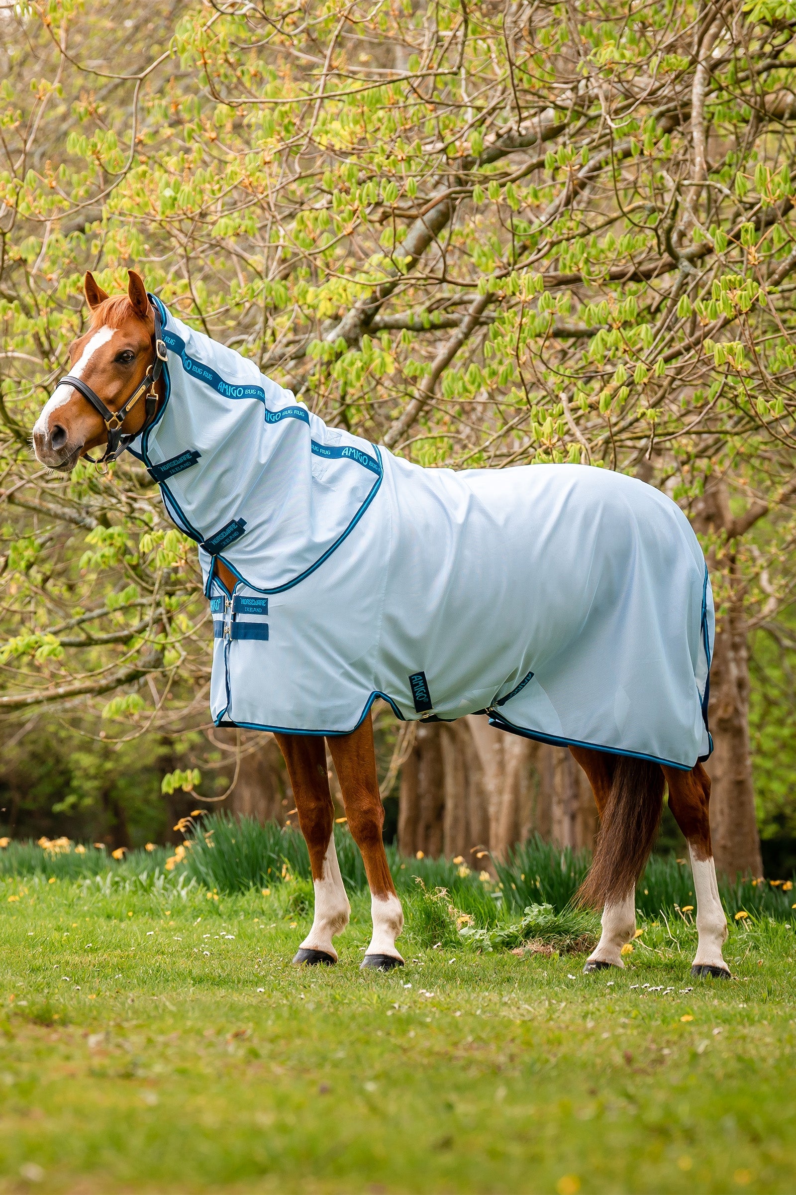 Horseware Amigo Fluedækken Hestedækken