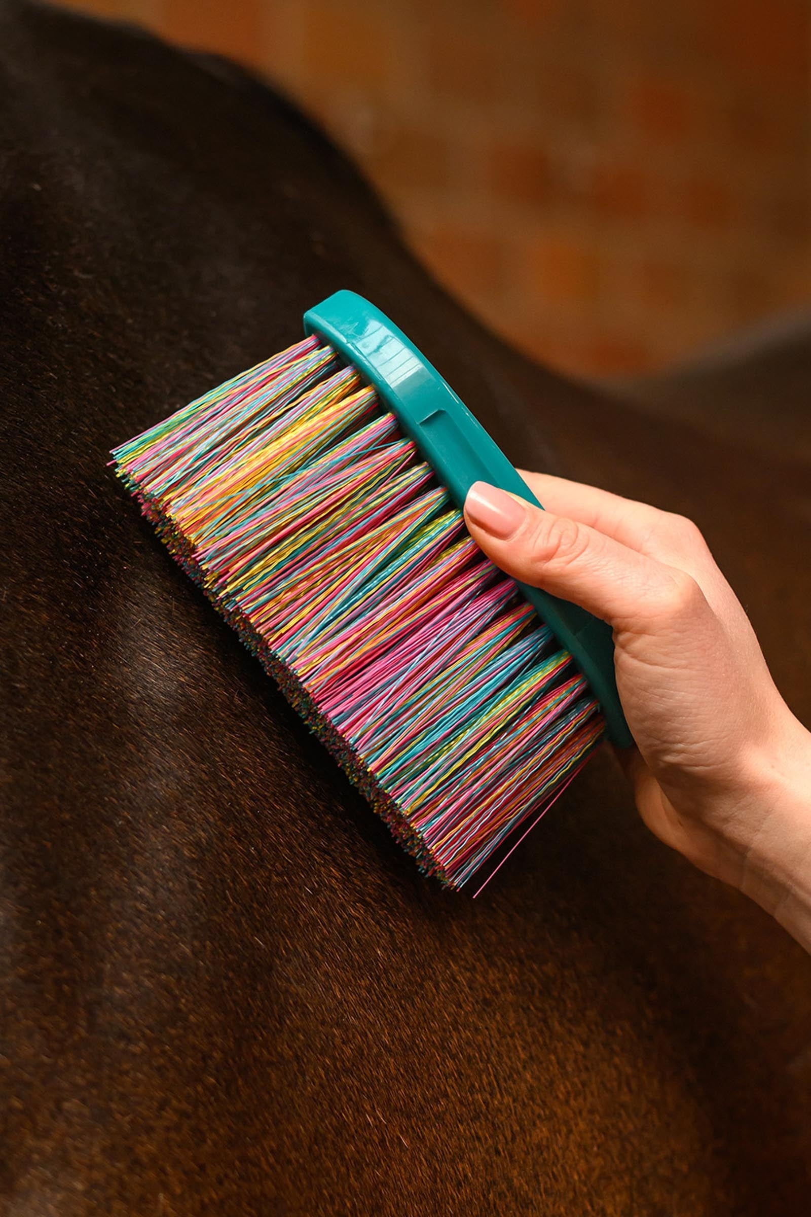 Waldhausen Rainbow Body Brush Horse Grooming Tools