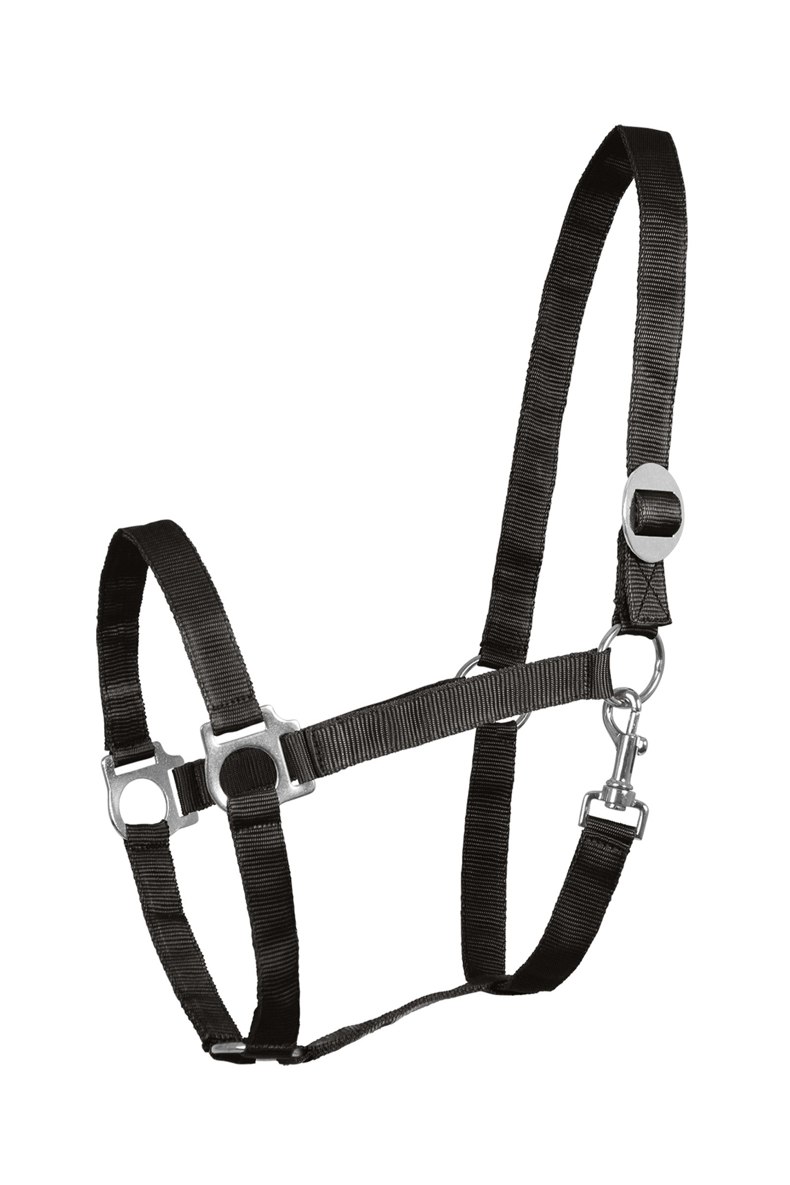 Waldhausen Perlon Halter Halters & Leads