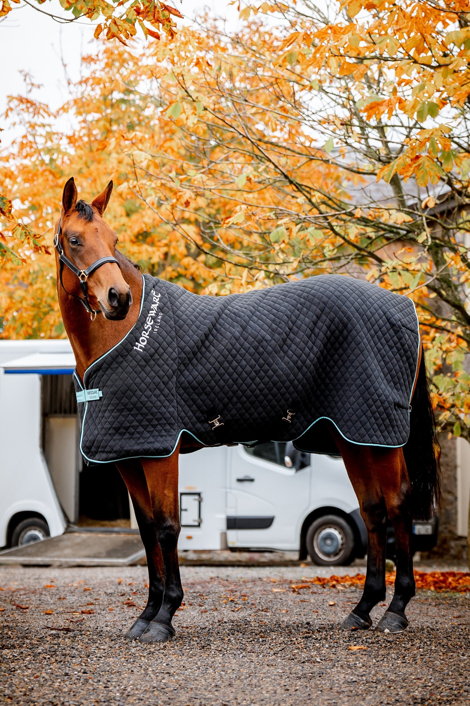 Horseware Autumn Cooler-dækken Hestedækken