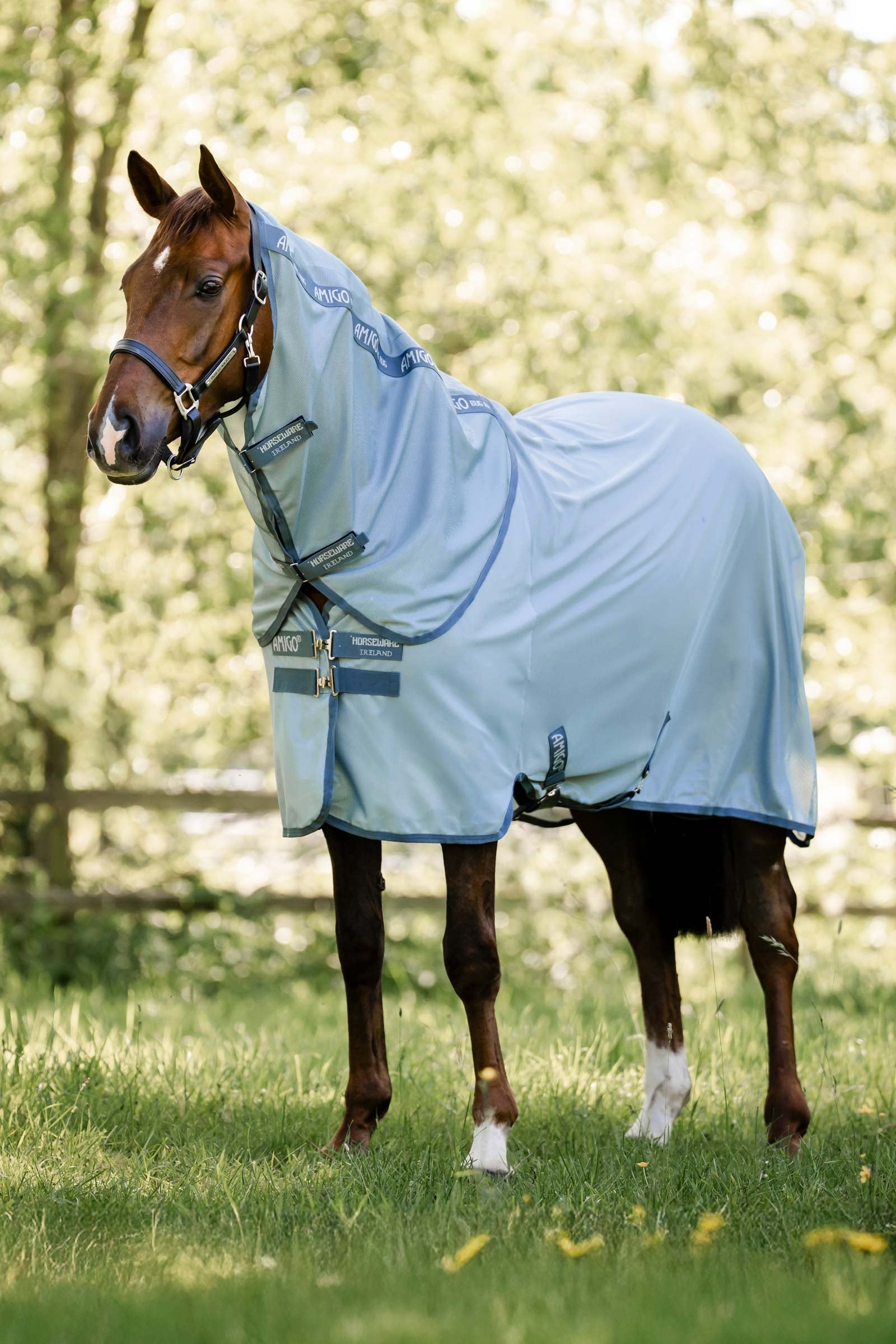 Horseware Amigo Fluedækken Plus Hestedækken
